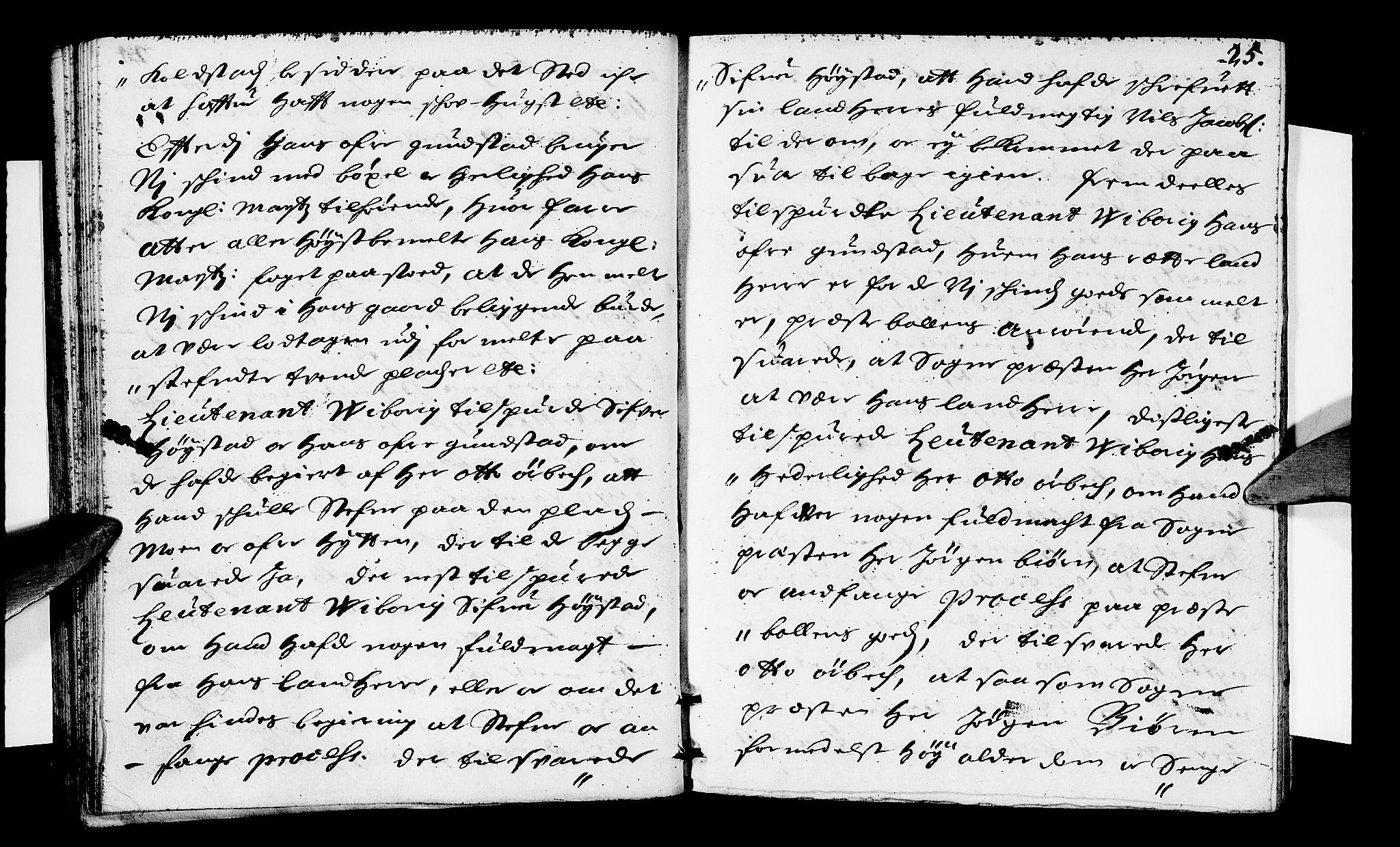 Sorenskriverier i Gudbrandsdalen, AV/SAH-TING-036/G/Gb/Gbb/L0018: Tingbok - Sør-Gudbrandsdal, 1695, s. 24b-25a