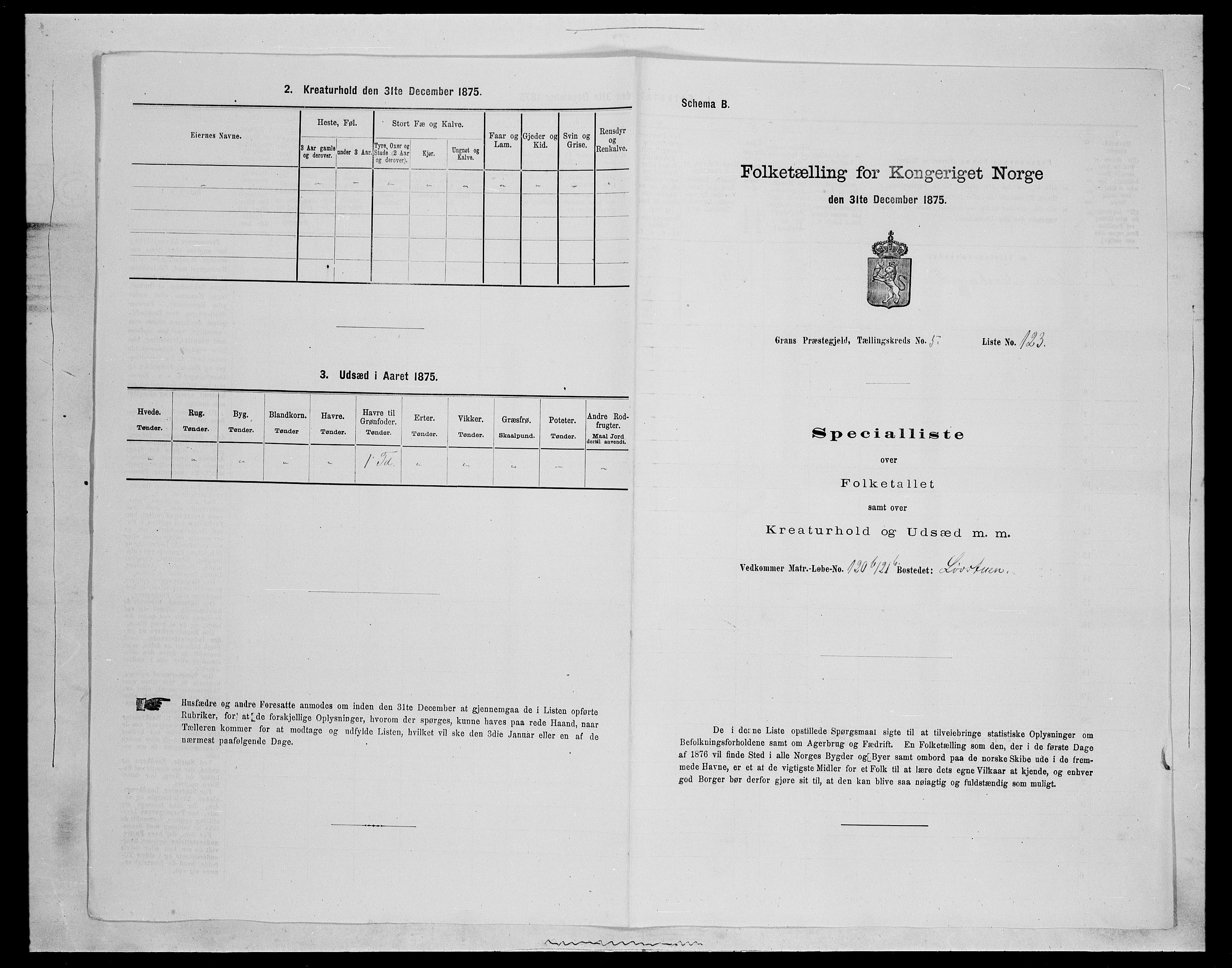 SAH, Folketelling 1875 for 0534P Gran prestegjeld, 1875, s. 1010