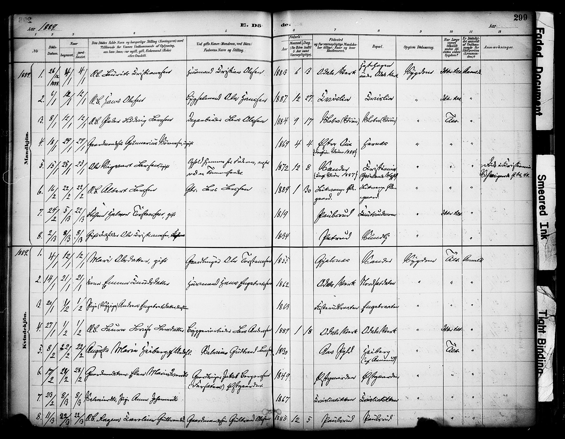 Sør-Odal prestekontor, SAH/PREST-030/H/Ha/Haa/L0007: Ministerialbok nr. 7, 1886-1925, s. 299