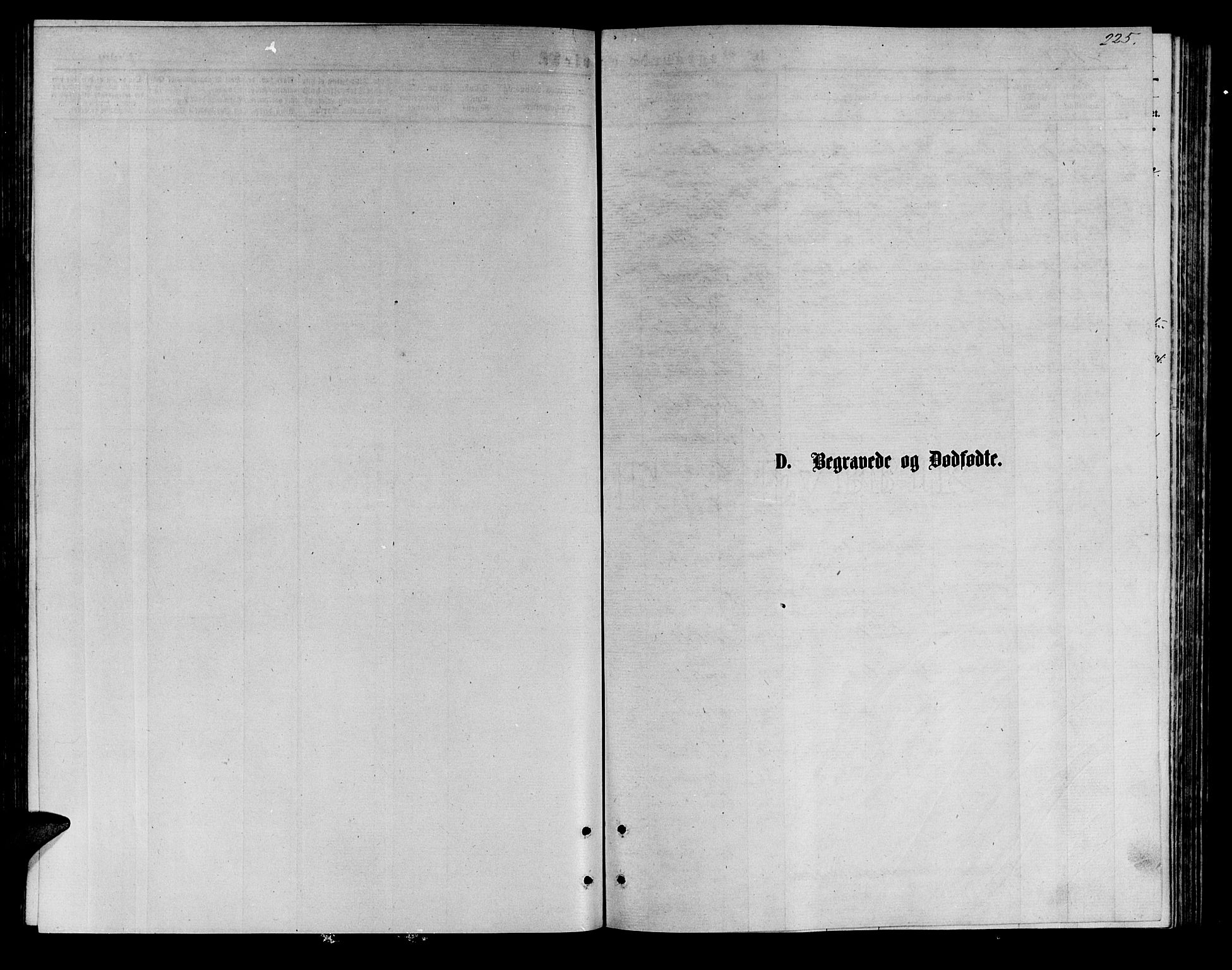 Målselv sokneprestembete, SATØ/S-1311/G/Ga/Gab/L0003klokker: Klokkerbok nr. 3, 1874-1885, s. 225