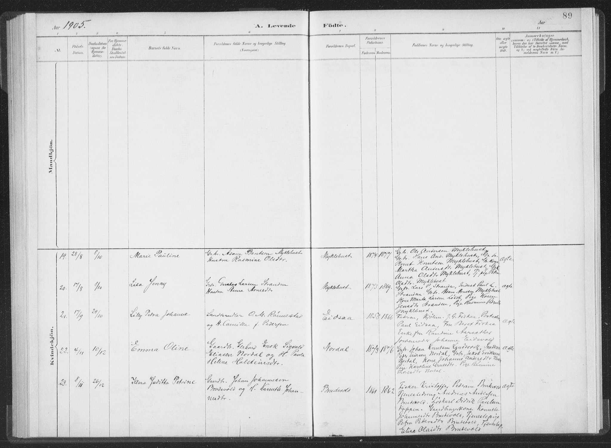 Ministerialprotokoller, klokkerbøker og fødselsregistre - Møre og Romsdal, AV/SAT-A-1454/502/L0025: Ministerialbok nr. 502A03, 1885-1909, s. 89