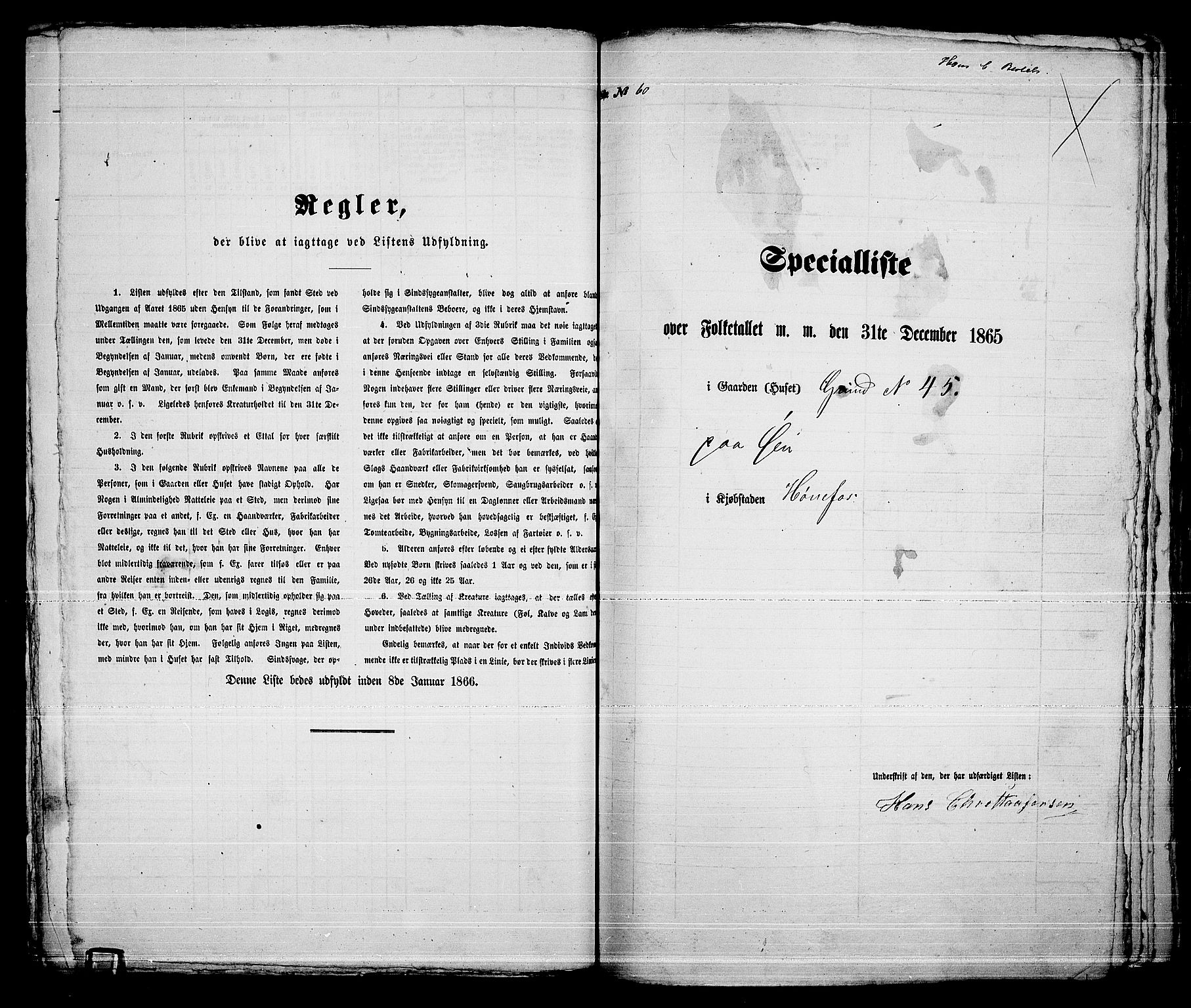 RA, Folketelling 1865 for 0601B Norderhov prestegjeld, Hønefoss kjøpstad, 1865, s. 118