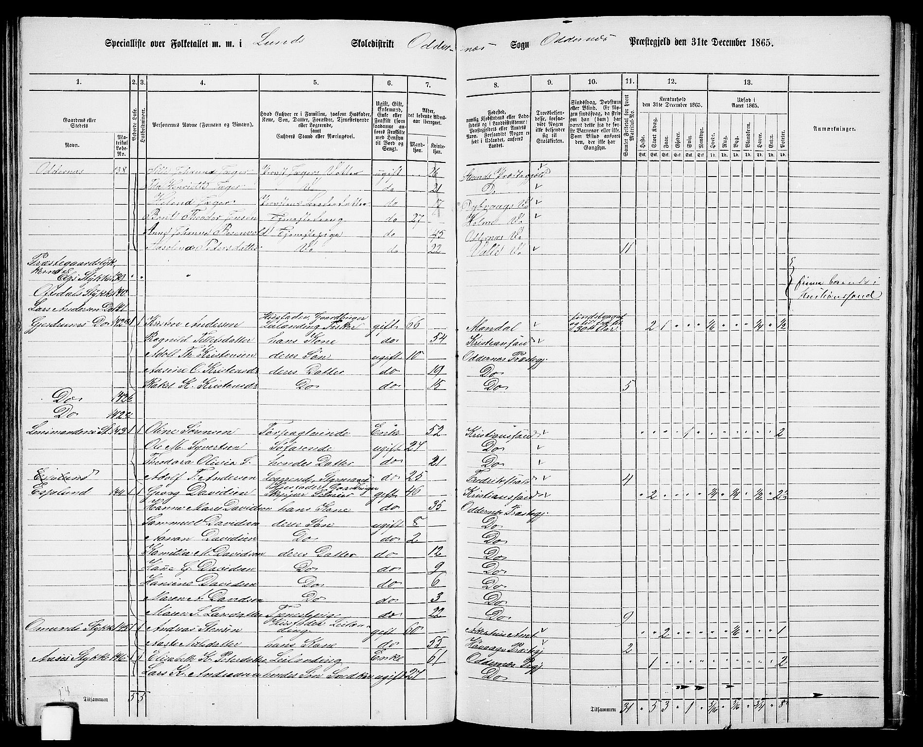 RA, Folketelling 1865 for 1012P Oddernes prestegjeld, 1865, s. 85