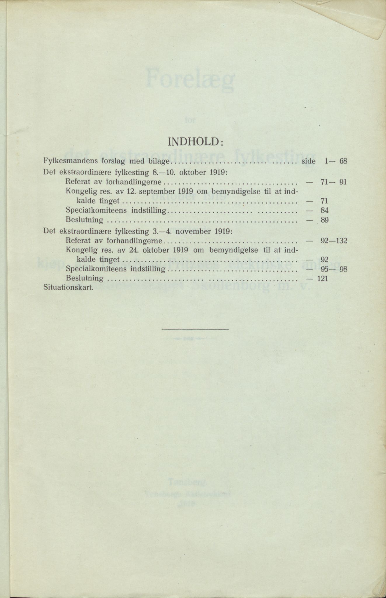 Vestfold fylkeskommune. Fylkestinget, VEMU/A-1315/A/Ab/Abb/L0067: Fylkestingsforhandlinger, 1919