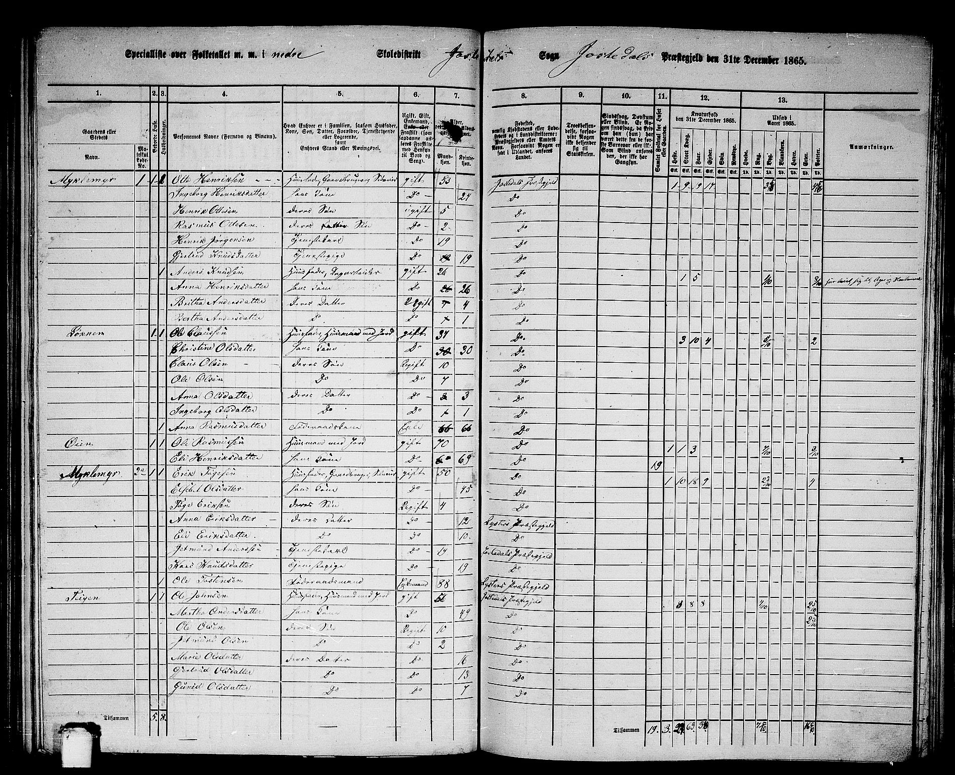 RA, Folketelling 1865 for 1427P Jostedal prestegjeld, 1865, s. 13