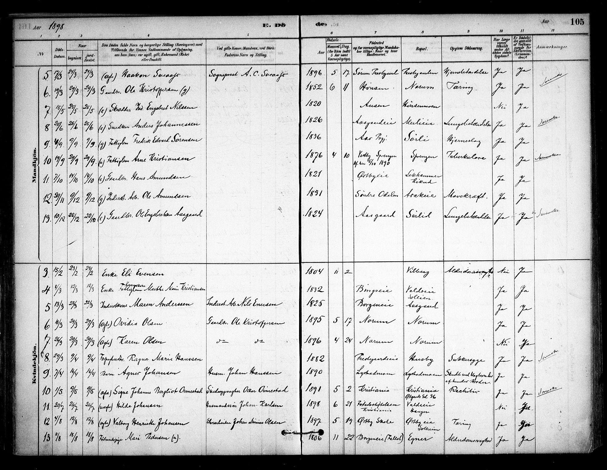 Sørum prestekontor Kirkebøker, AV/SAO-A-10303/F/Fa/L0008: Ministerialbok nr. I 8, 1878-1914, s. 105