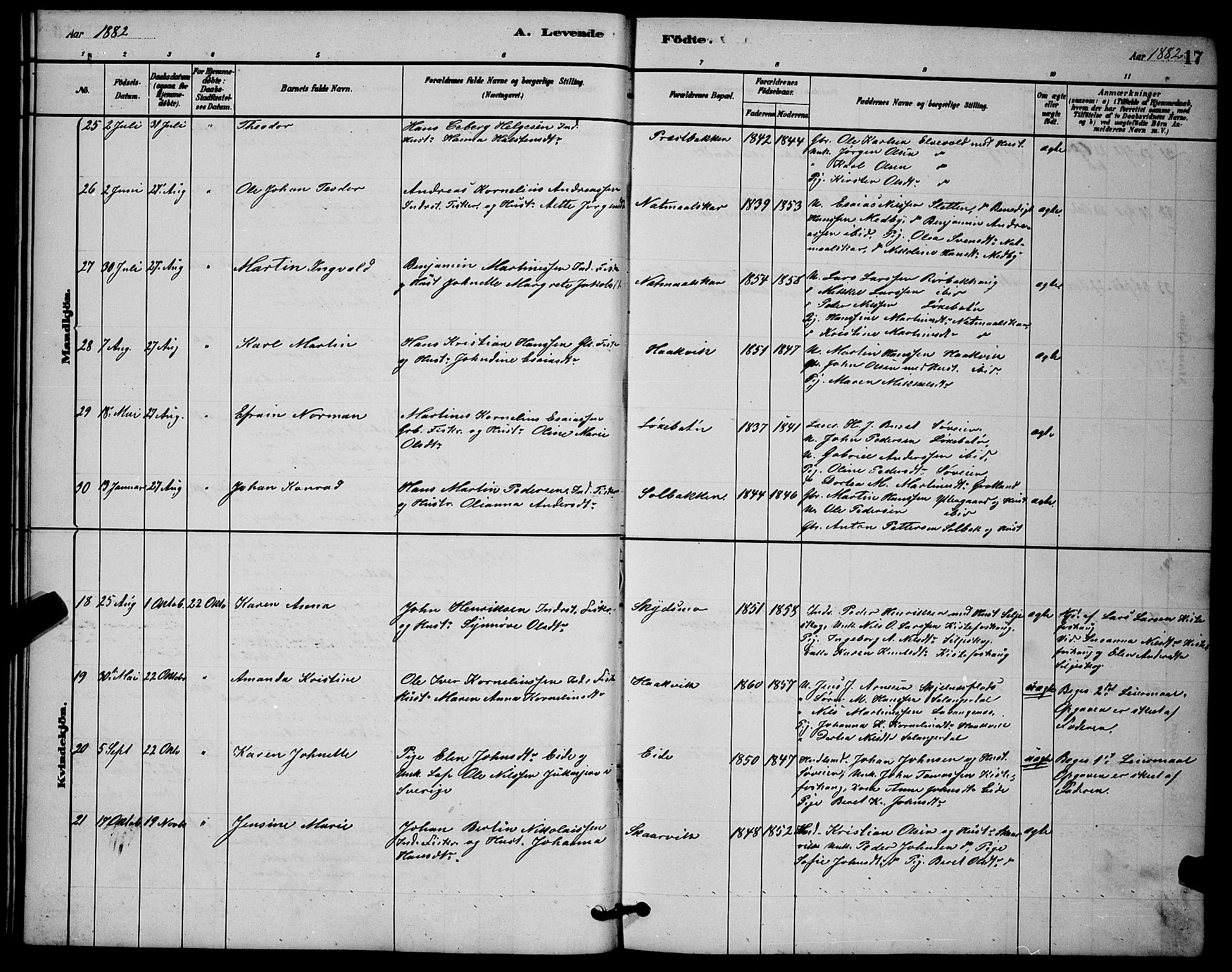 Ibestad sokneprestembete, AV/SATØ-S-0077/H/Ha/Hab/L0014klokker: Klokkerbok nr. 14, 1880-1887, s. 17