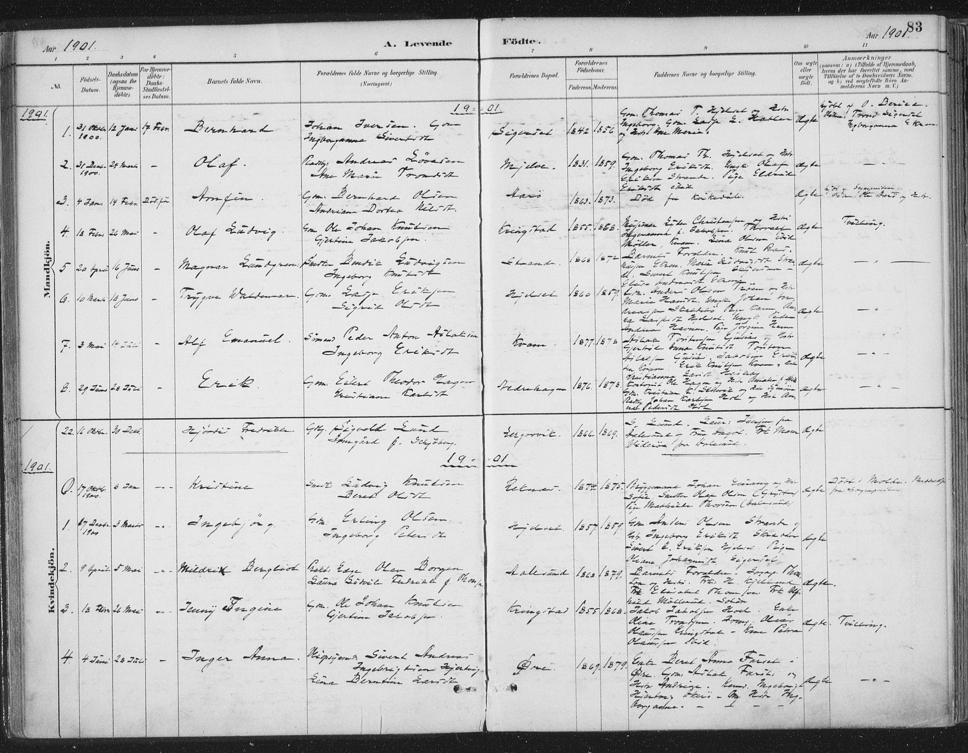 Ministerialprotokoller, klokkerbøker og fødselsregistre - Møre og Romsdal, SAT/A-1454/555/L0658: Ministerialbok nr. 555A09, 1887-1917, s. 83