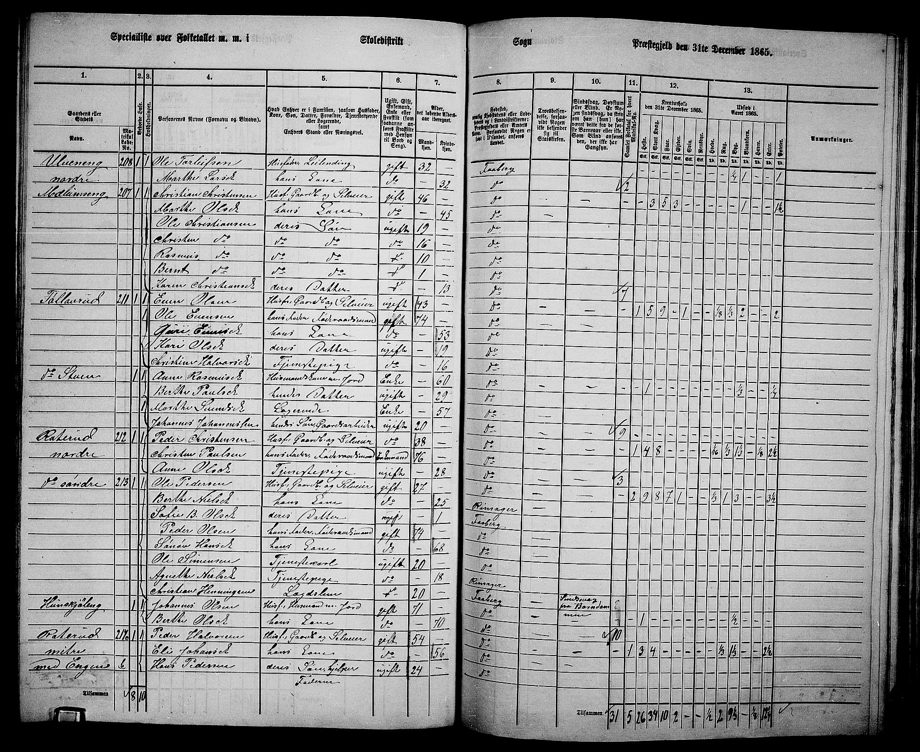 RA, Folketelling 1865 for 0524L Fåberg prestegjeld, Fåberg sokn og Lillehammer landsokn, 1865, s. 204