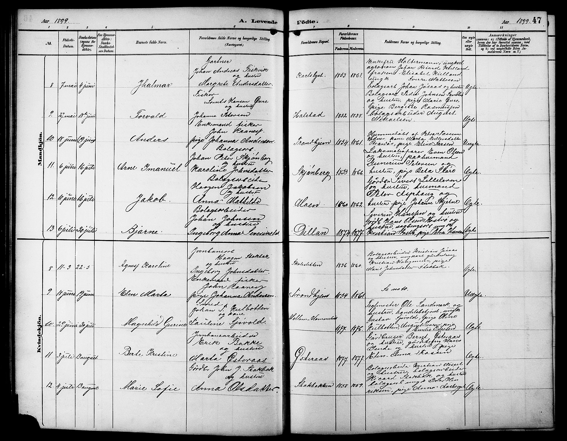 Ministerialprotokoller, klokkerbøker og fødselsregistre - Sør-Trøndelag, SAT/A-1456/617/L0431: Klokkerbok nr. 617C01, 1889-1910, s. 47
