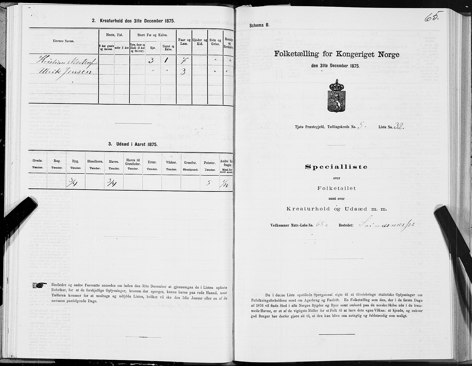 SAT, Folketelling 1875 for 1817P Tjøtta prestegjeld, 1875, s. 3065