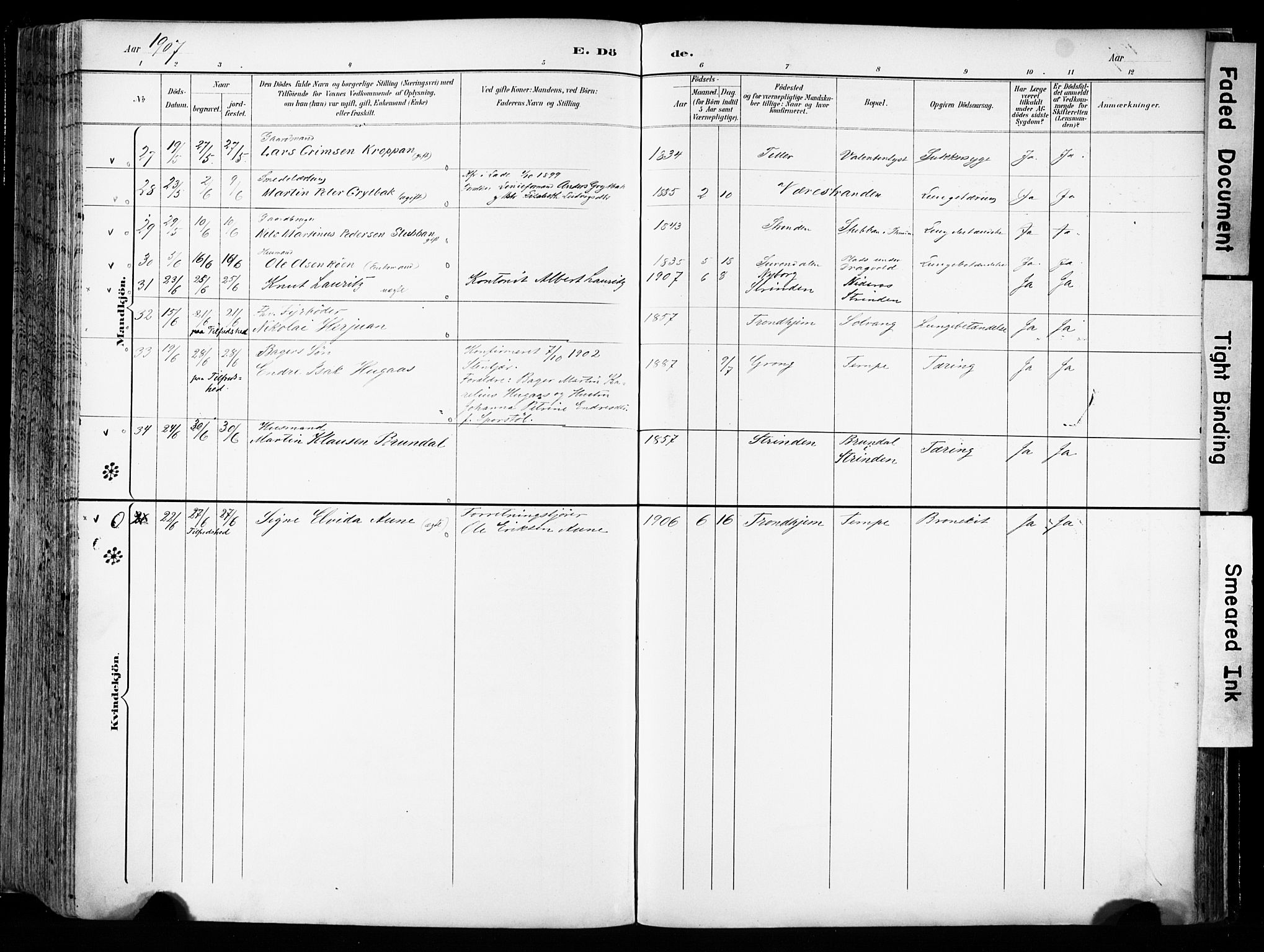 Ministerialprotokoller, klokkerbøker og fødselsregistre - Sør-Trøndelag, AV/SAT-A-1456/606/L0301: Ministerialbok nr. 606A16, 1894-1907