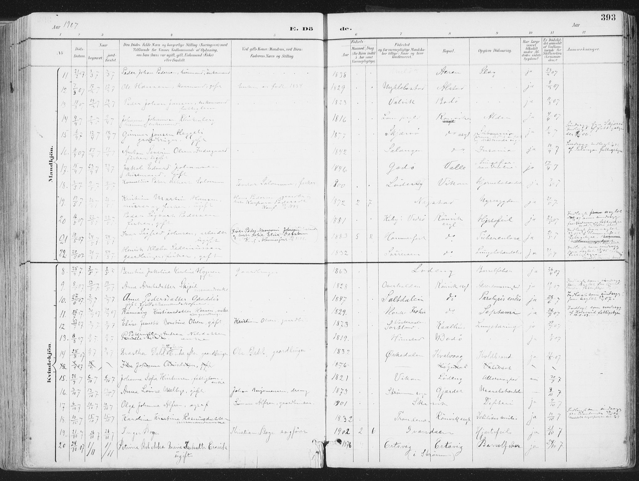 Ministerialprotokoller, klokkerbøker og fødselsregistre - Nordland, SAT/A-1459/802/L0055: Ministerialbok nr. 802A02, 1894-1915, s. 393