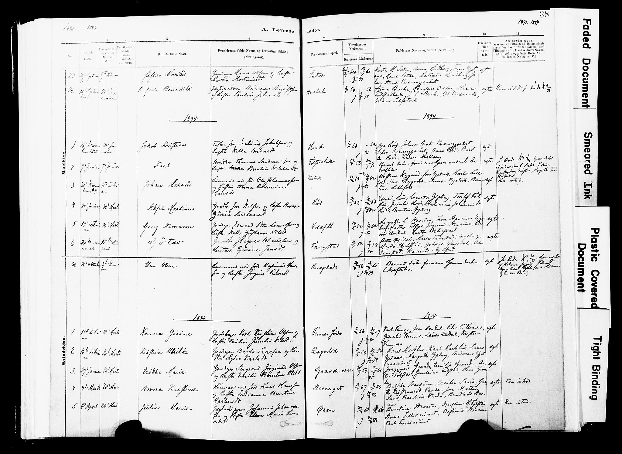 Ministerialprotokoller, klokkerbøker og fødselsregistre - Nord-Trøndelag, SAT/A-1458/744/L0420: Ministerialbok nr. 744A04, 1882-1904, s. 38