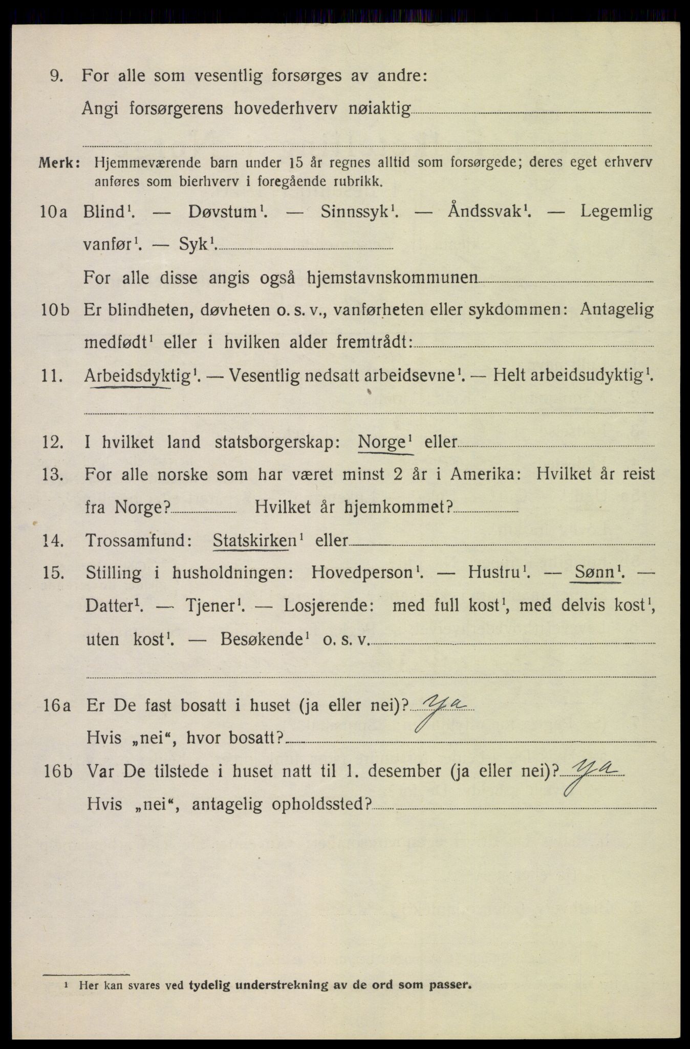SAH, Folketelling 1920 for 0514 Lom herred, 1920, s. 1519