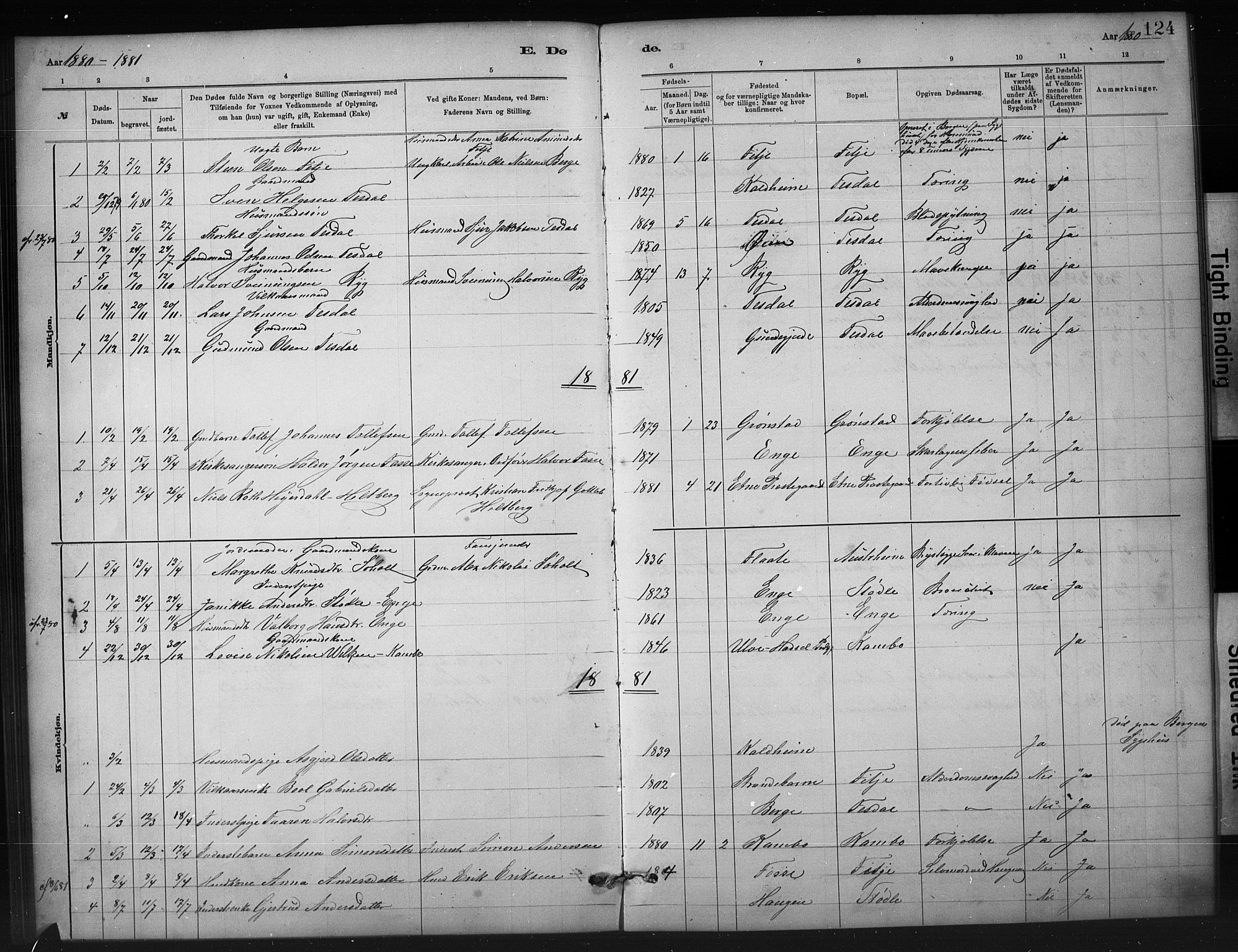 Etne sokneprestembete, AV/SAB-A-75001/H/Hab: Klokkerbok nr. A 5, 1879-1896, s. 124