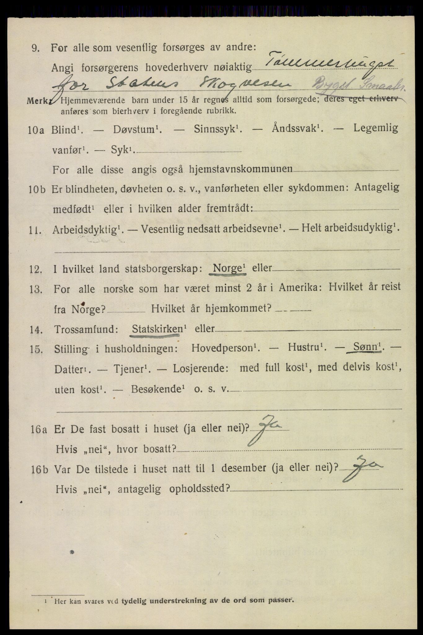 SAH, Folketelling 1920 for 0434 Engerdal herred, 1920, s. 1536