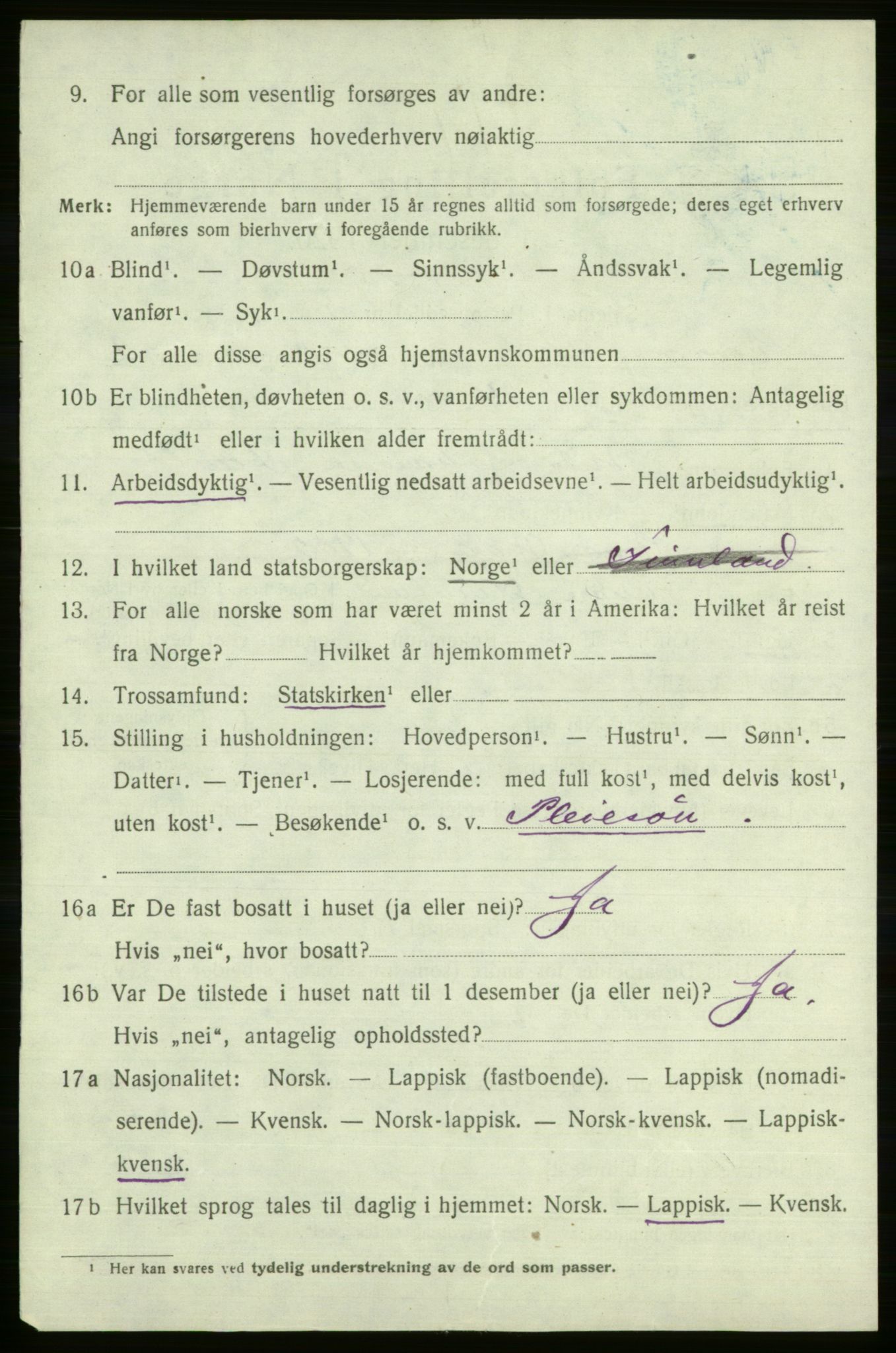 SATØ, Folketelling 1920 for 2021 Karasjok herred, 1920, s. 1207
