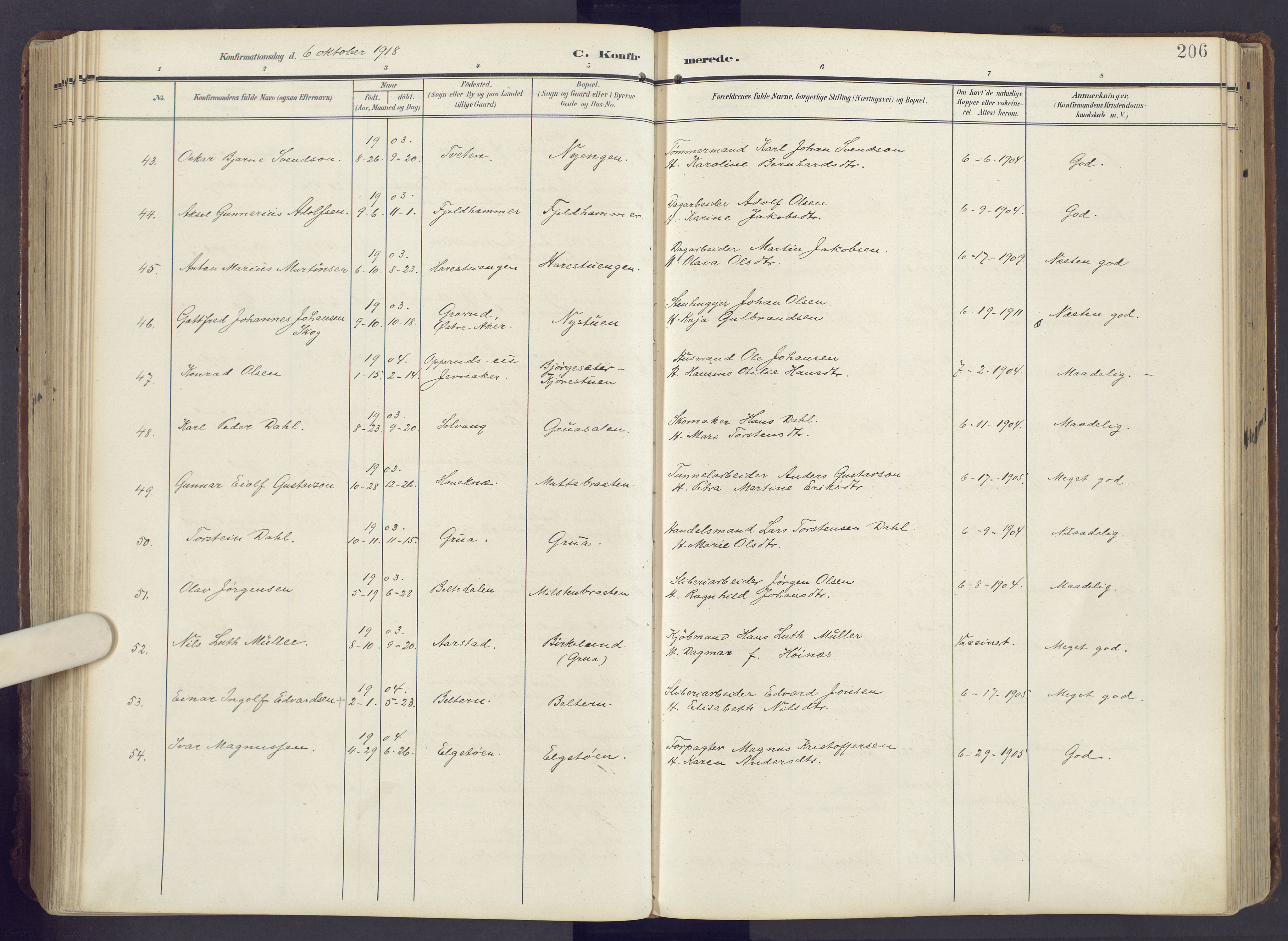 Lunner prestekontor, AV/SAH-PREST-118/H/Ha/Haa/L0001: Ministerialbok nr. 1, 1907-1922, s. 206