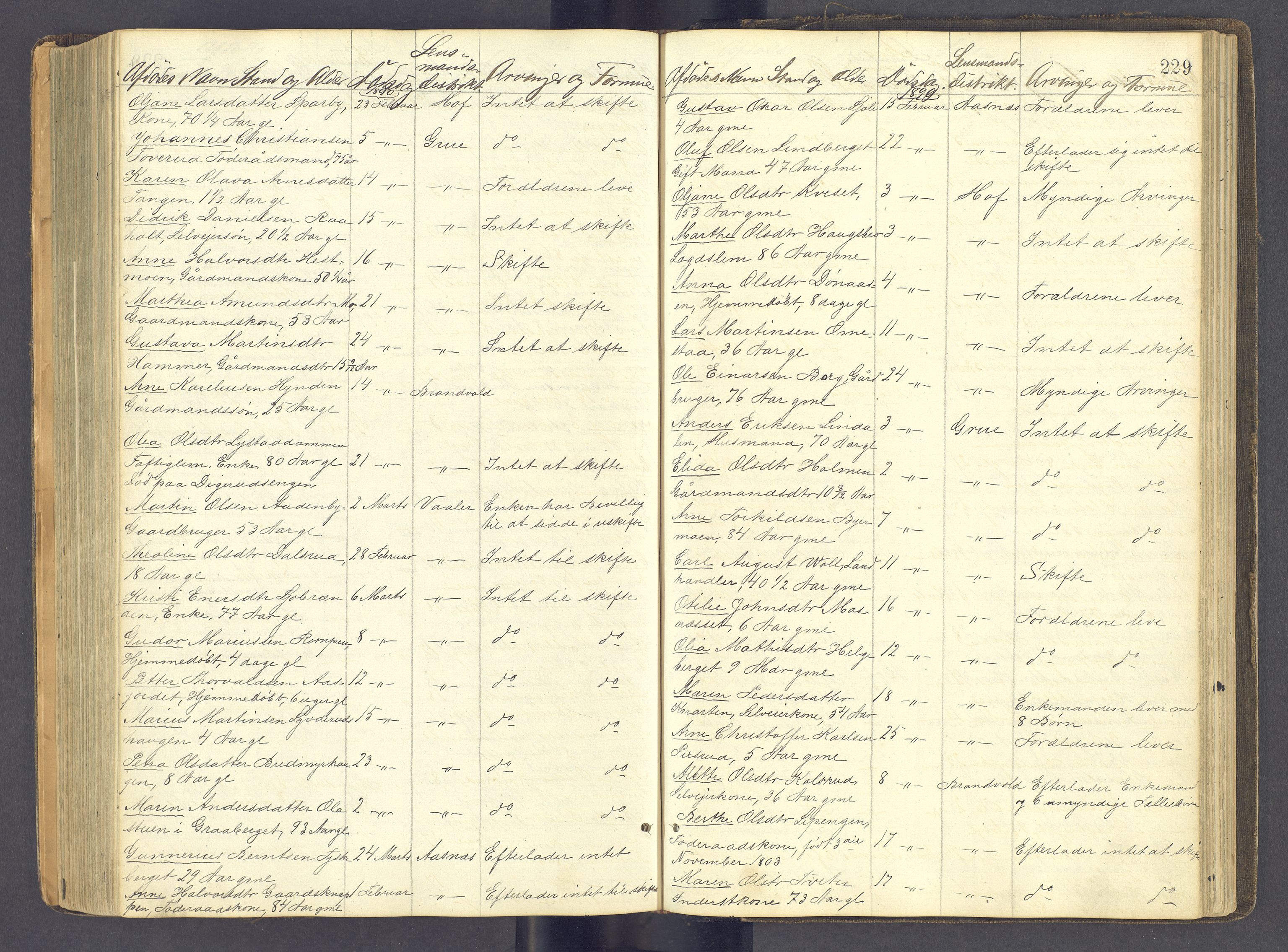 Solør tingrett, AV/SAH-TING-008/J/Jf/L0001: Dødsfallsregister, 1863-1898, s. 228b-229a