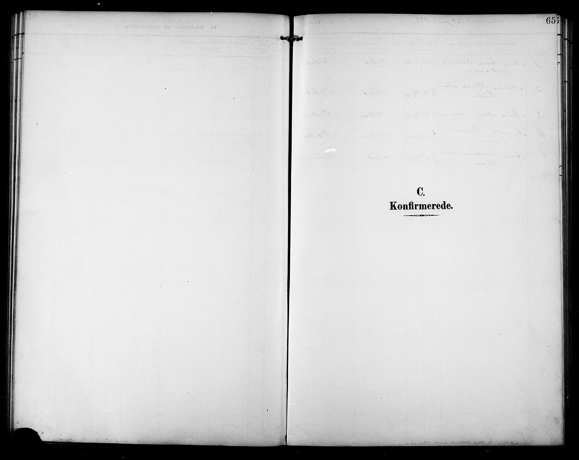 Berg sokneprestkontor, SATØ/S-1318/G/Ga/Gab/L0005klokker: Klokkerbok nr. 5, 1898-1911, s. 65