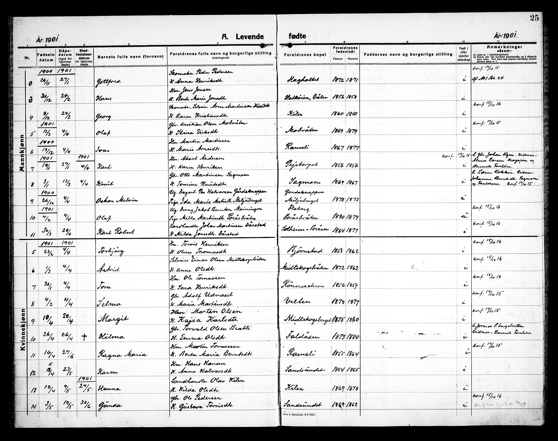 Åsnes prestekontor, AV/SAH-PREST-042/H/Ha/Haa/L0000E: Ministerialbok nr. 0C, 1890-1929, s. 25