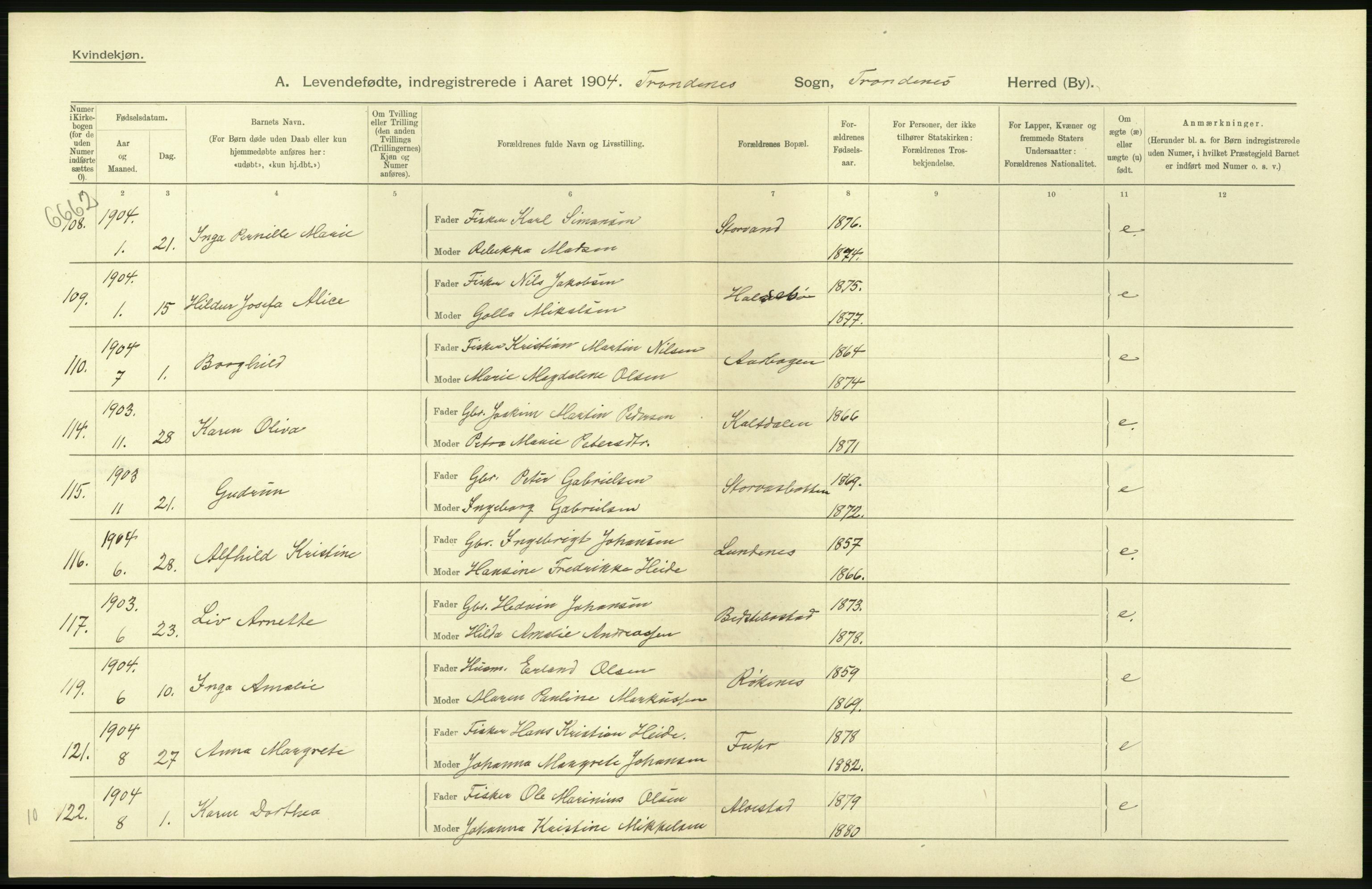 Statistisk sentralbyrå, Sosiodemografiske emner, Befolkning, AV/RA-S-2228/D/Df/Dfa/Dfab/L0022: Tromsø amt: Fødte, gifte, døde, 1904, s. 254