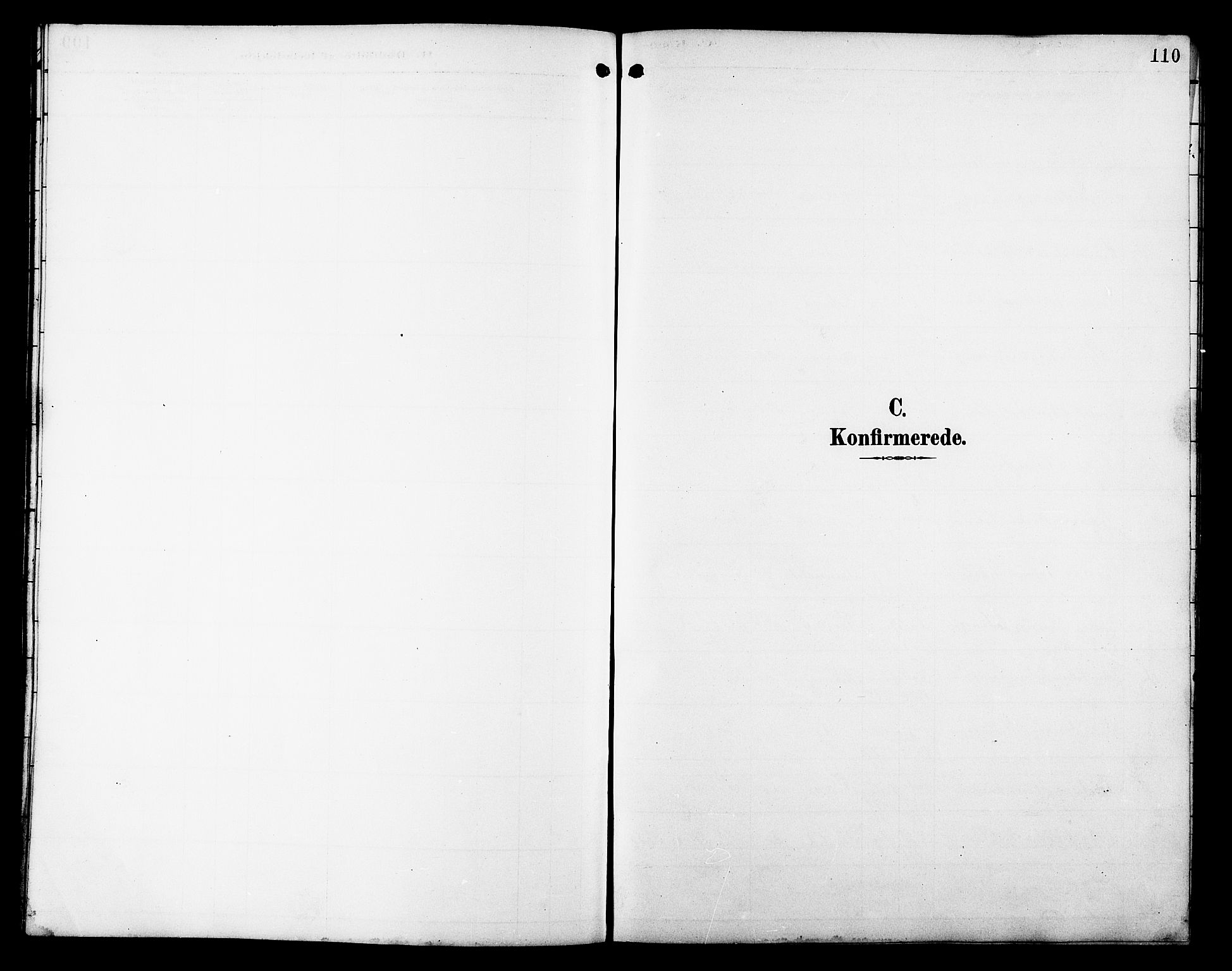 Skjervøy sokneprestkontor, SATØ/S-1300/H/Ha/Hab/L0021klokker: Klokkerbok nr. 21, 1893-1910, s. 110
