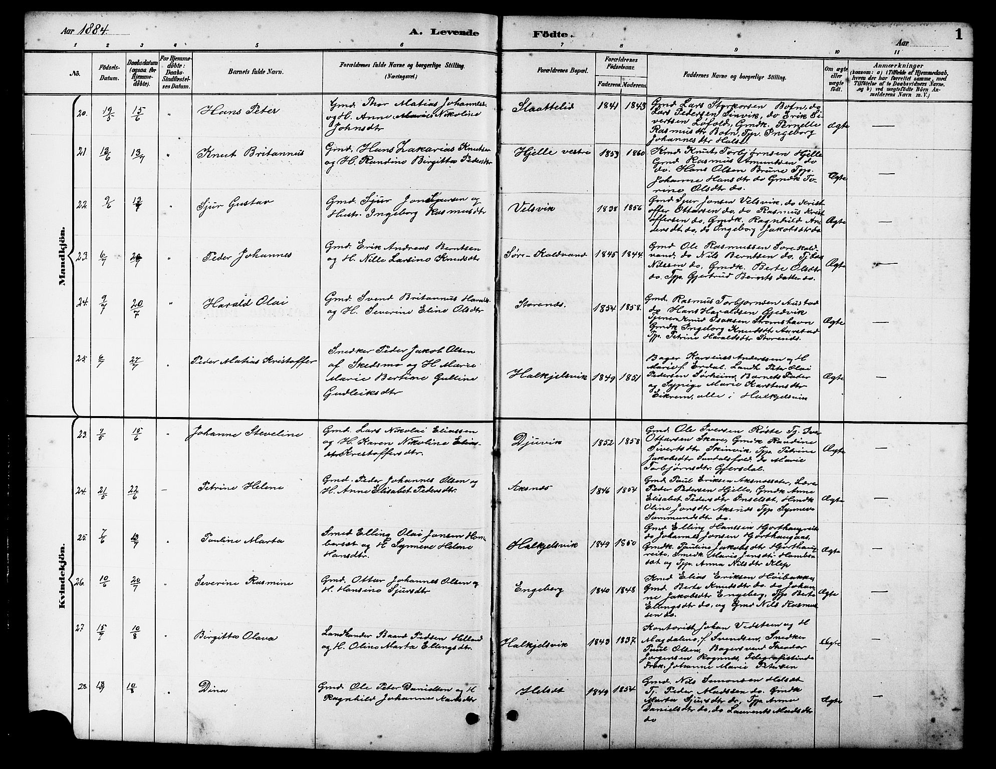 Ministerialprotokoller, klokkerbøker og fødselsregistre - Møre og Romsdal, AV/SAT-A-1454/511/L0158: Klokkerbok nr. 511C04, 1884-1903, s. 1