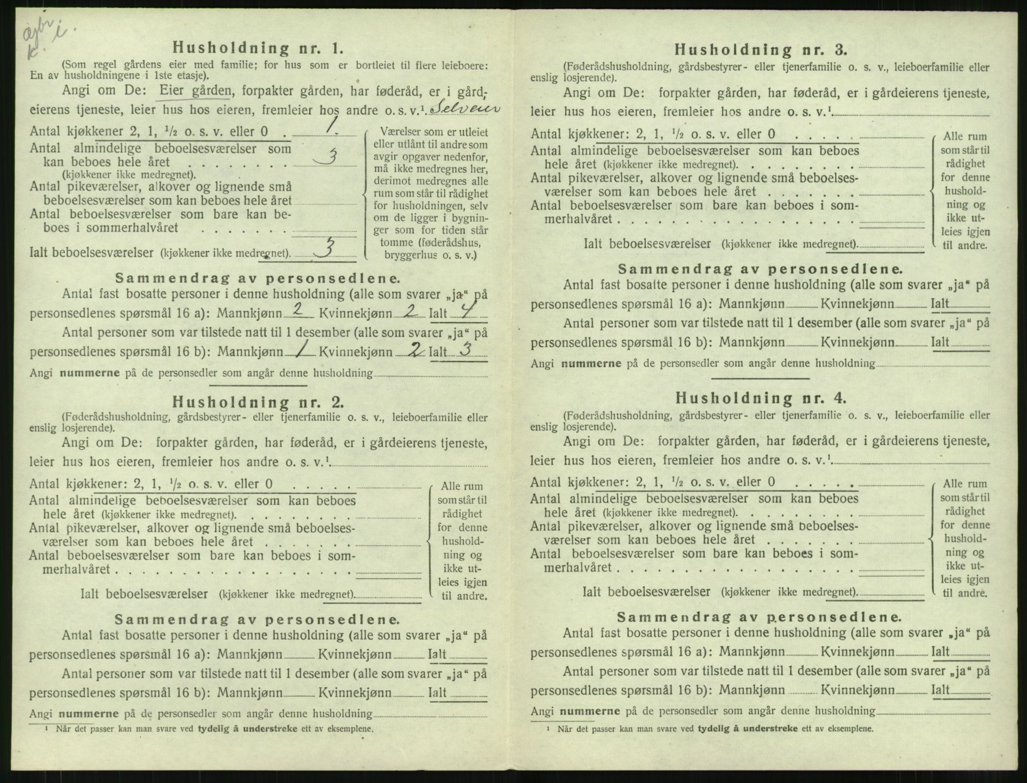 SAT, Folketelling 1920 for 1533 Vigra herred, 1920, s. 51