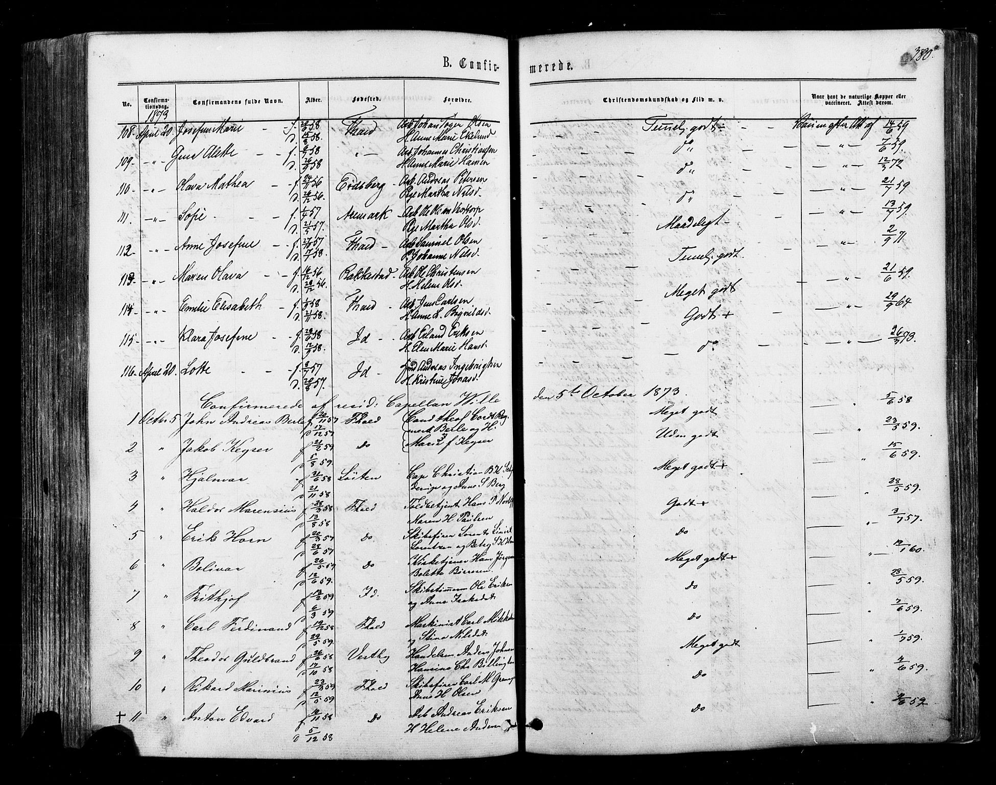 Halden prestekontor Kirkebøker, SAO/A-10909/F/Fa/L0009: Ministerialbok nr. I 9, 1866-1877, s. 380