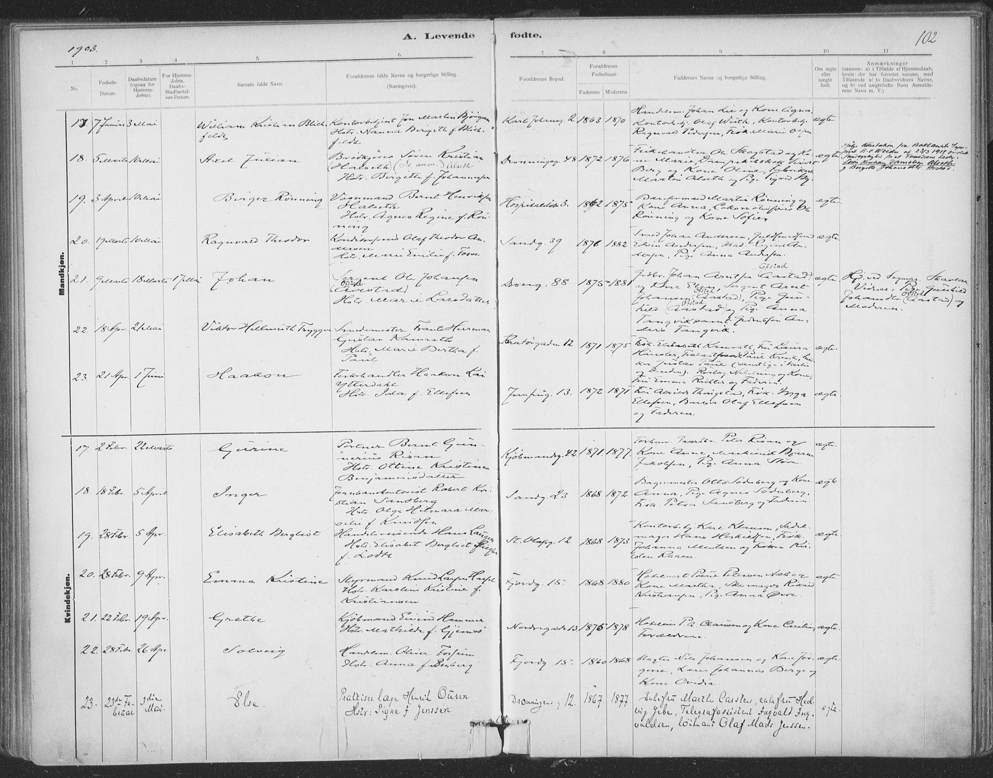 Ministerialprotokoller, klokkerbøker og fødselsregistre - Sør-Trøndelag, SAT/A-1456/602/L0122: Ministerialbok nr. 602A20, 1892-1908, s. 102