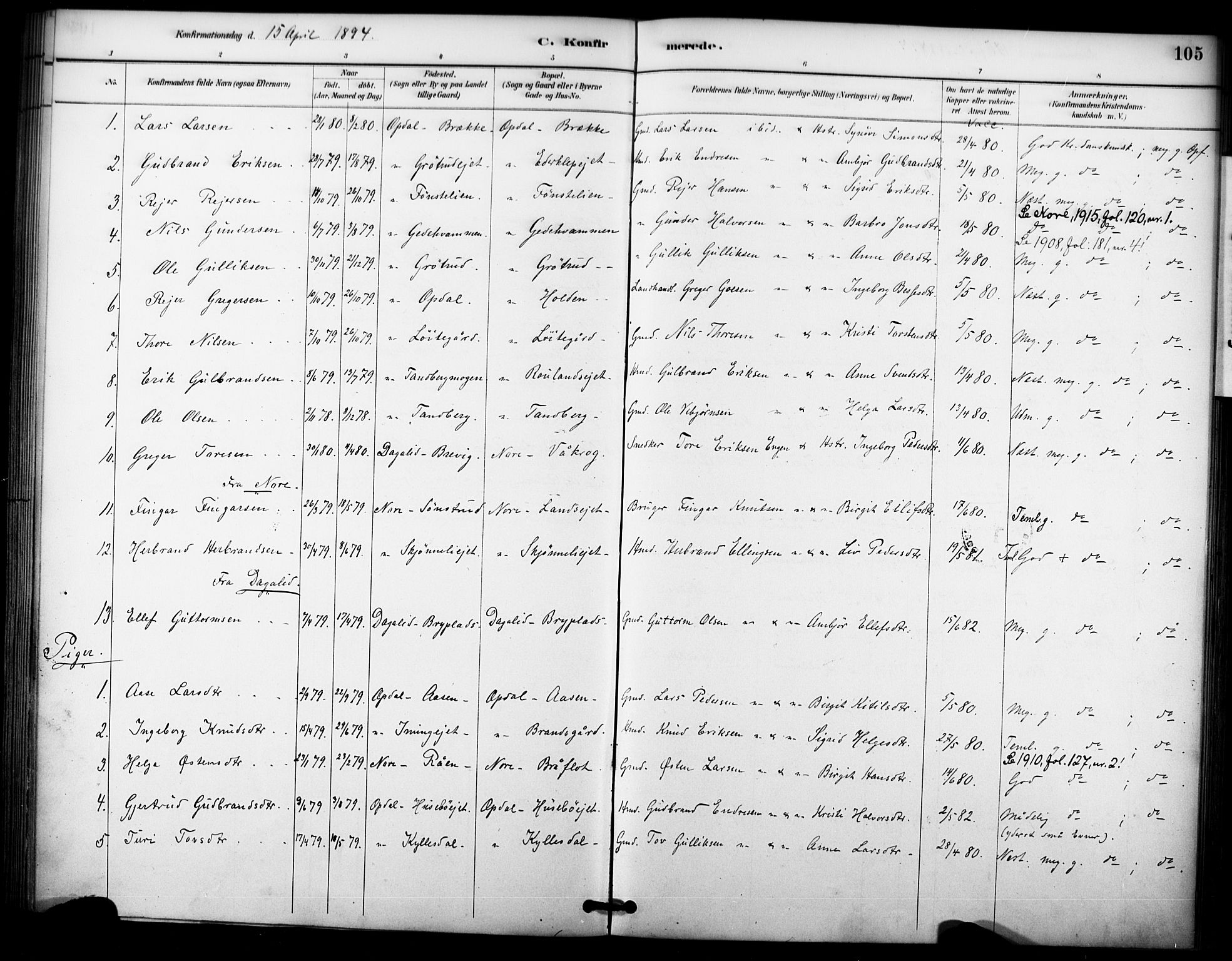 Nore kirkebøker, AV/SAKO-A-238/F/Fc/L0004: Ministerialbok nr. III 4, 1885-1898, s. 105
