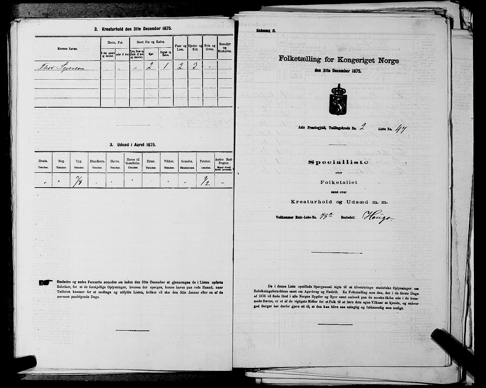 SAKO, Folketelling 1875 for 0619P Ål prestegjeld, 1875, s. 305