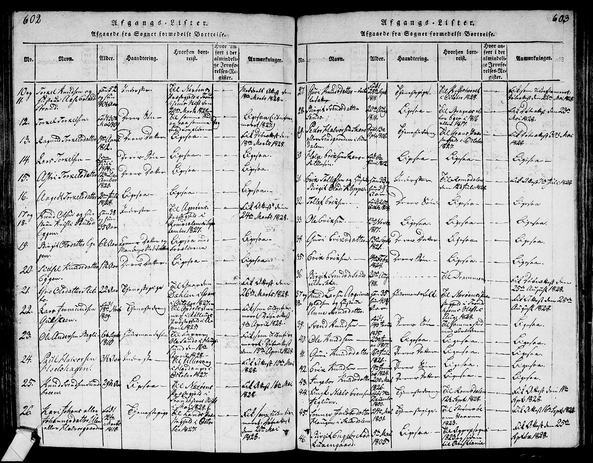 Ål kirkebøker, AV/SAKO-A-249/G/Ga/L0001: Klokkerbok nr. 1, 1815-1829, s. 602-603