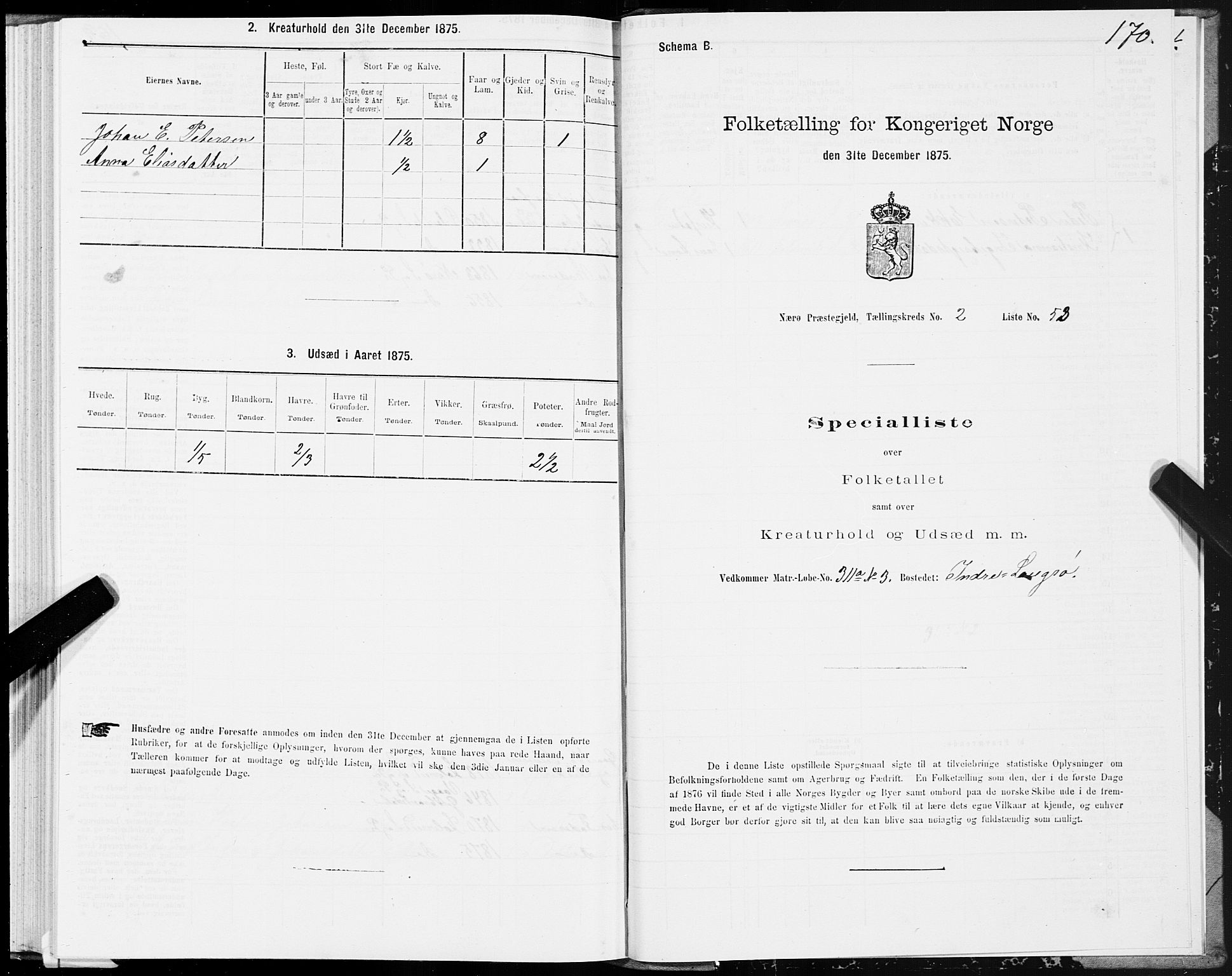 SAT, Folketelling 1875 for 1751P Nærøy prestegjeld, 1875, s. 1170