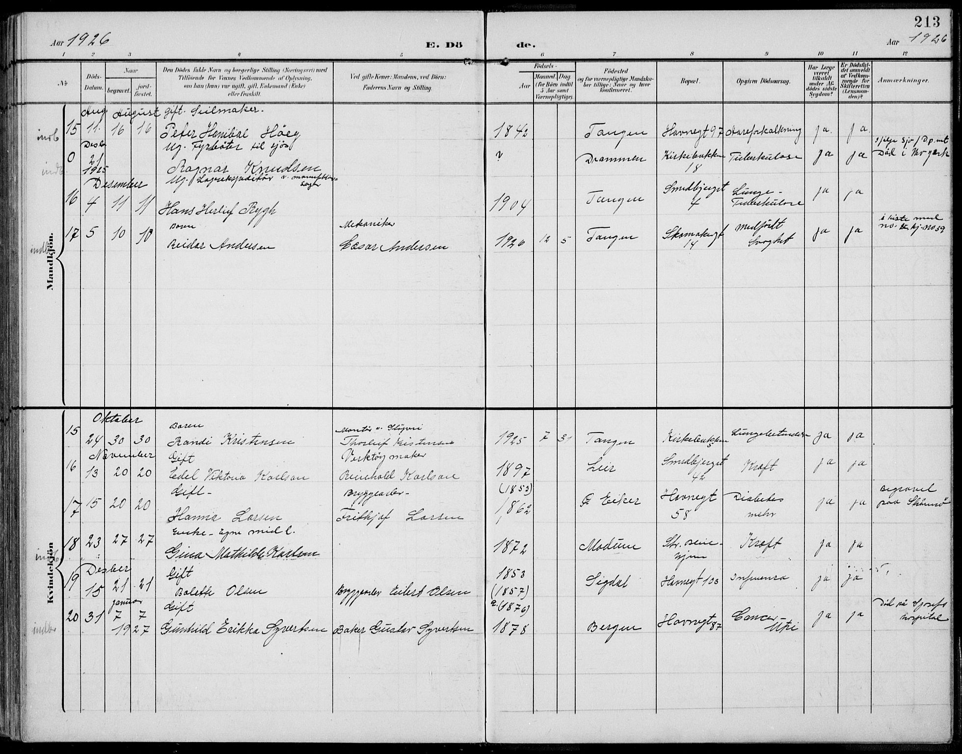 Strømsø kirkebøker, AV/SAKO-A-246/F/Fb/L0008: Ministerialbok nr. II 8, 1902-1933, s. 213