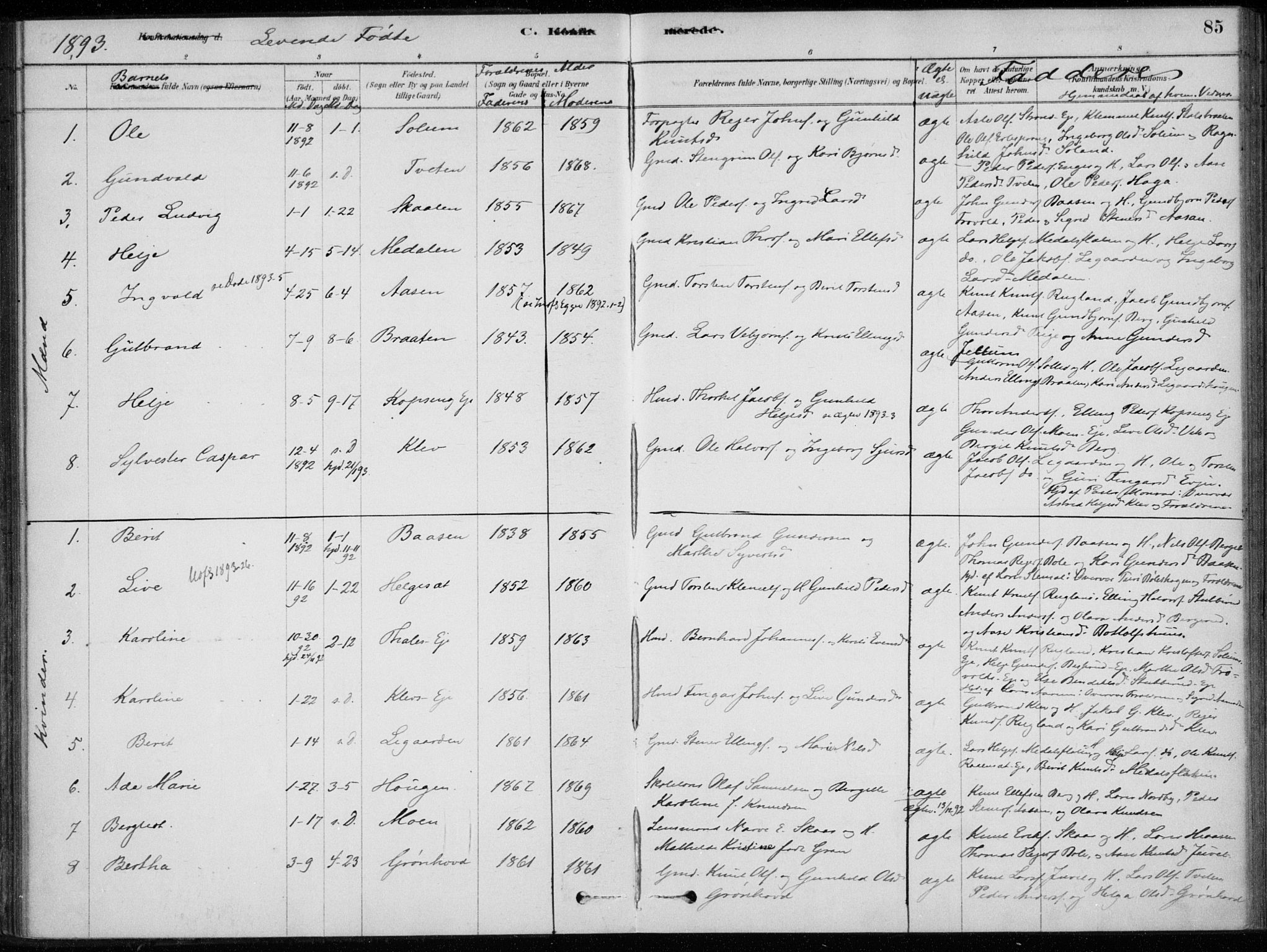 Sigdal kirkebøker, AV/SAKO-A-245/F/Fc/L0001: Ministerialbok nr. III 1, 1879-1893, s. 85