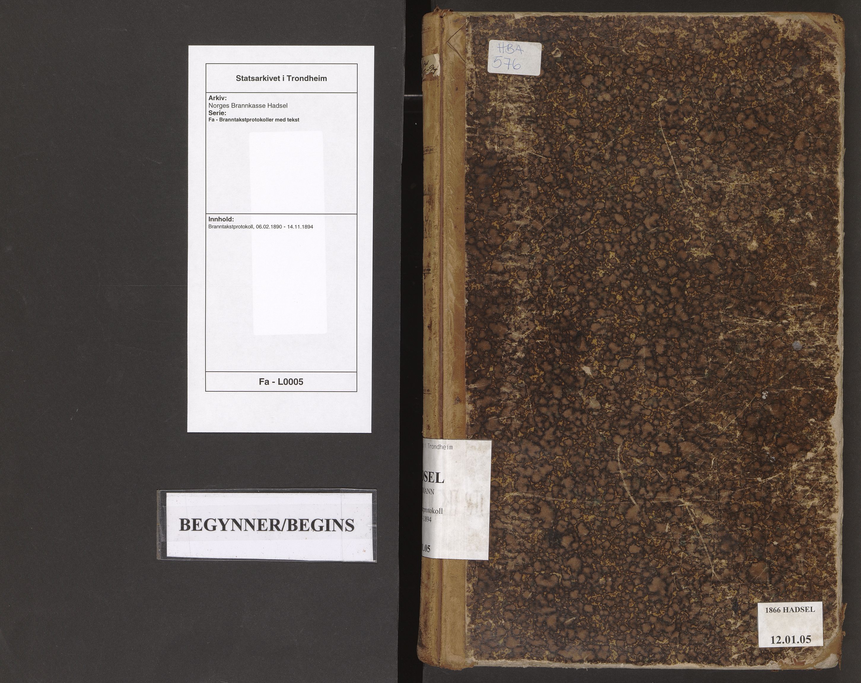 Norges Brannkasse Hadsel, AV/SAT-A-5593/Fa/L0005: Branntakstprotokoll, 1890-1894