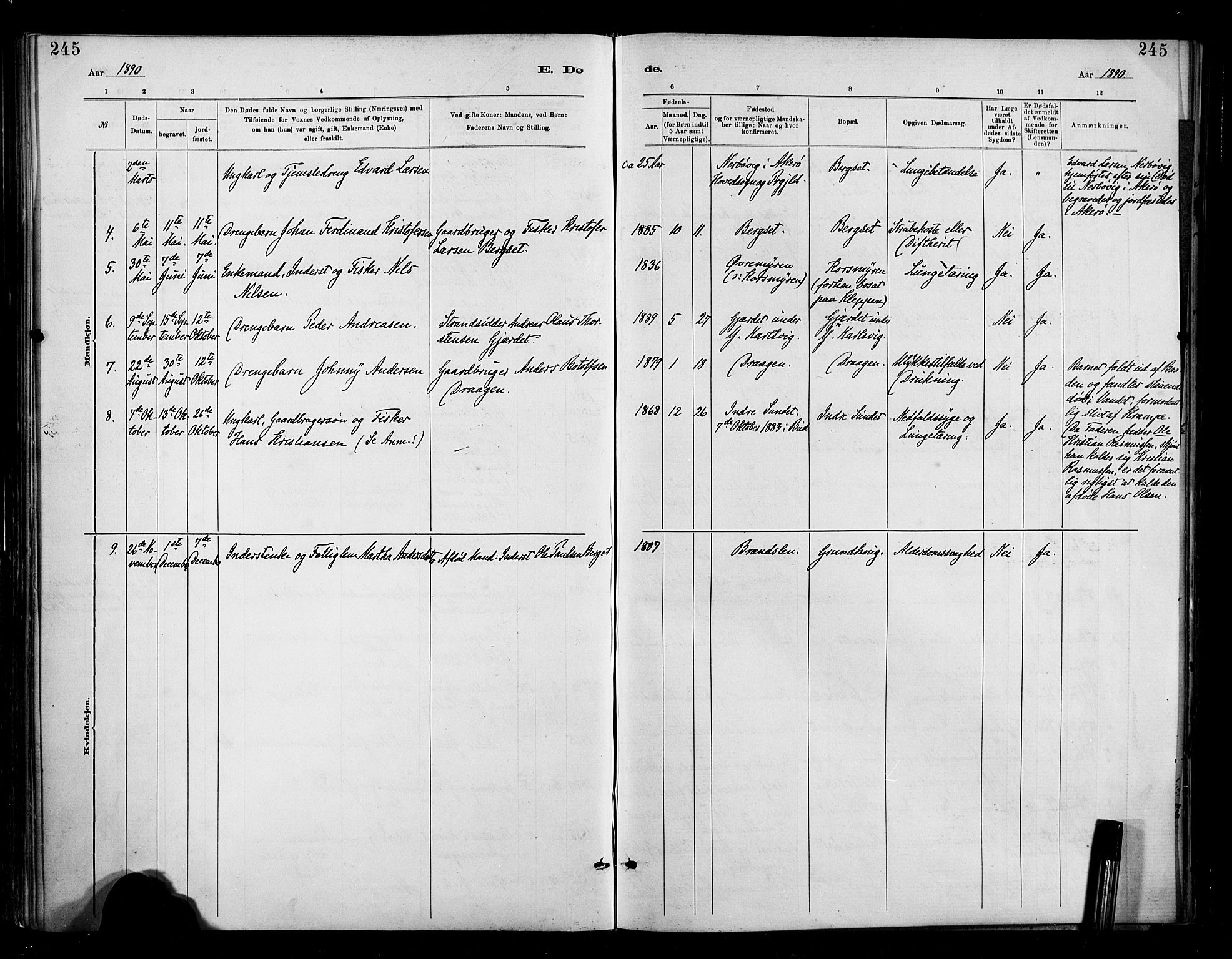 Ministerialprotokoller, klokkerbøker og fødselsregistre - Møre og Romsdal, AV/SAT-A-1454/566/L0769: Ministerialbok nr. 566A08, 1881-1903, s. 245