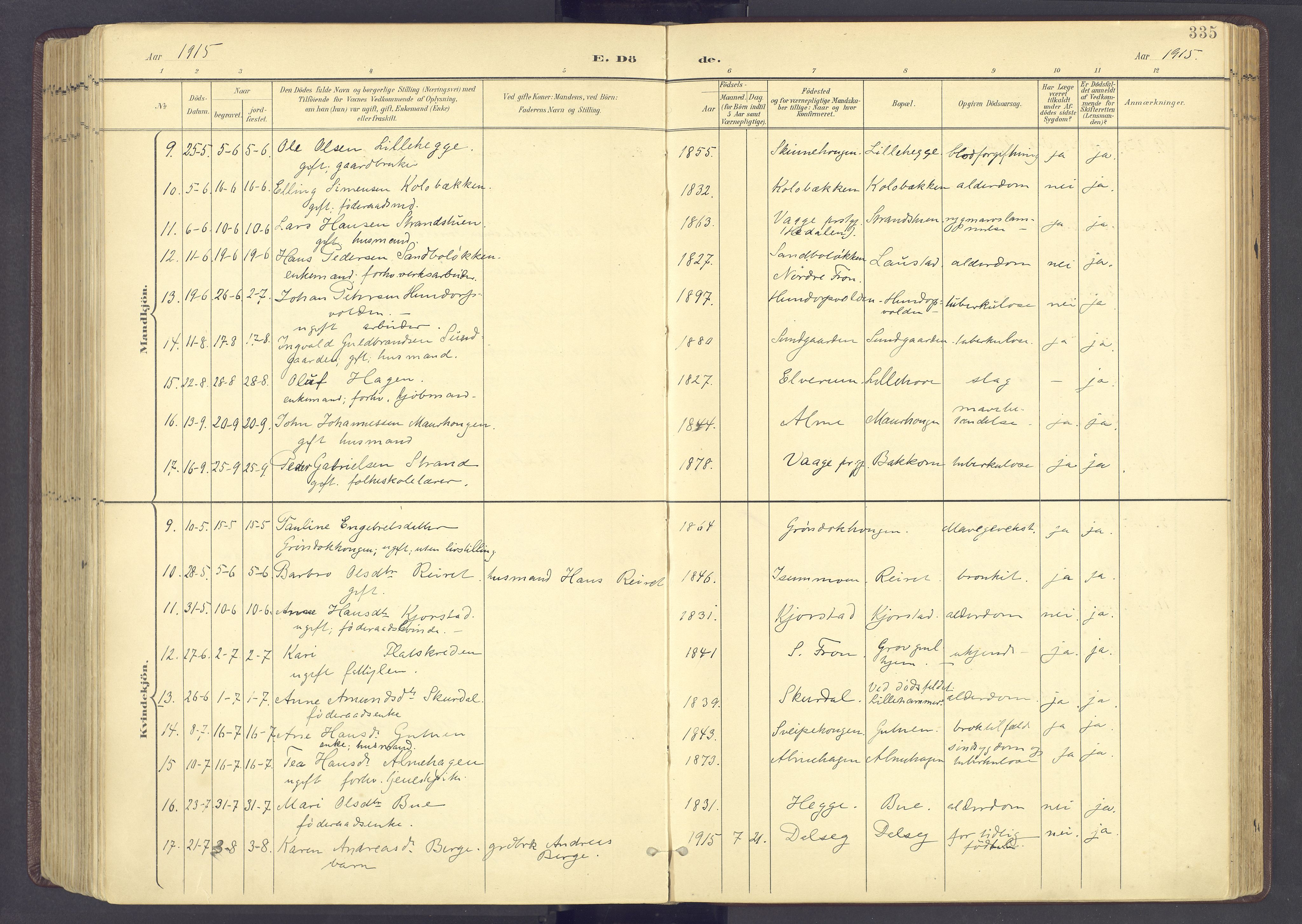 Sør-Fron prestekontor, AV/SAH-PREST-010/H/Ha/Haa/L0004: Ministerialbok nr. 4, 1898-1919, s. 335
