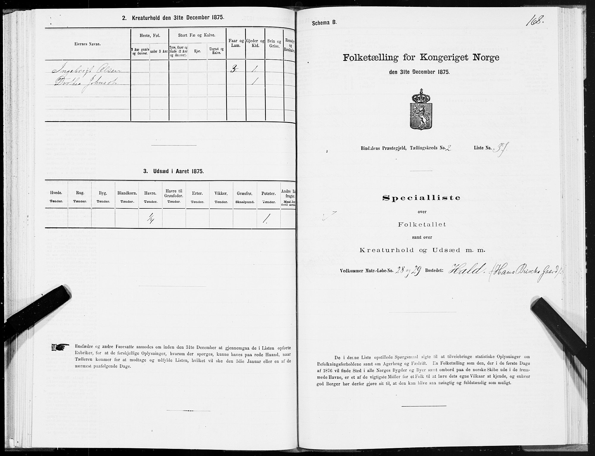 SAT, Folketelling 1875 for 1811P Bindal prestegjeld, 1875, s. 1168