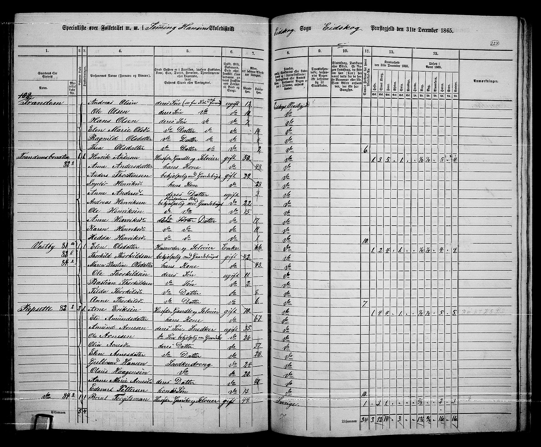 RA, Folketelling 1865 for 0420P Eidskog prestegjeld, 1865, s. 203