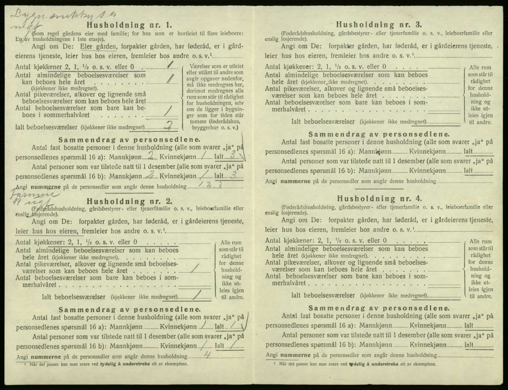 SAB, Folketelling 1920 for 1239 Hålandsdal herred, 1920, s. 38