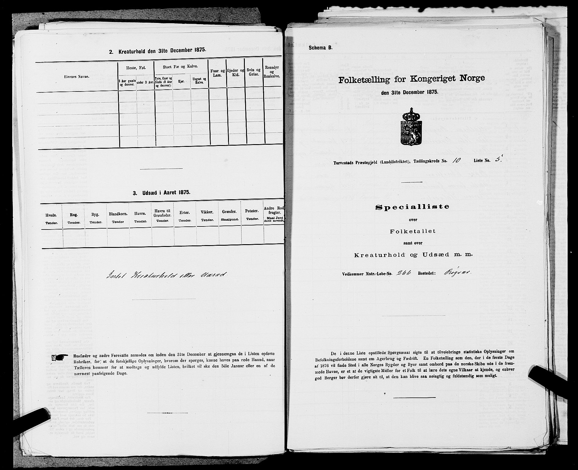 SAST, Folketelling 1875 for 1152L Torvastad prestegjeld, Torvastad sokn, Skåre sokn og Utsira sokn, 1875, s. 1255