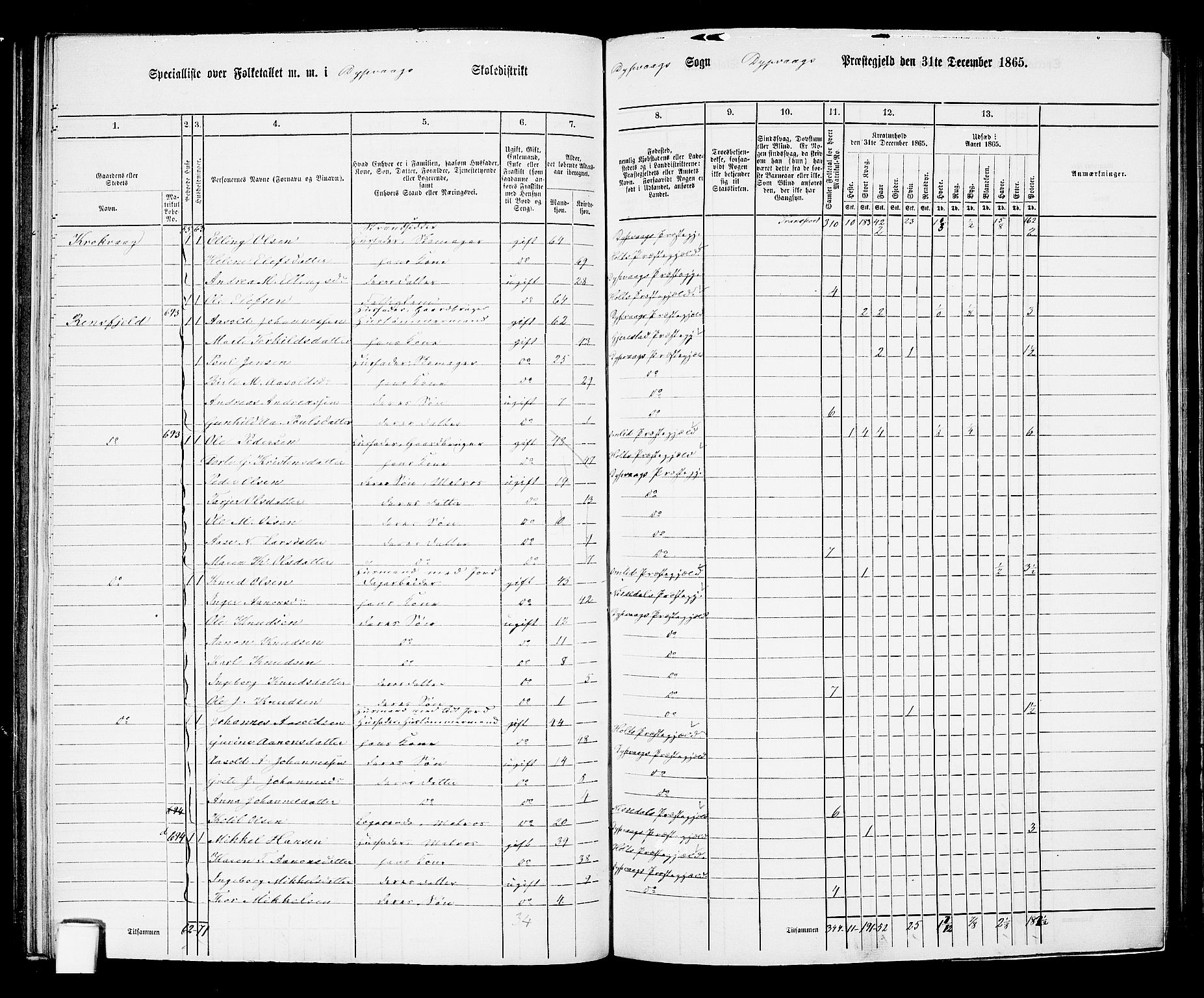 RA, Folketelling 1865 for 0915P Dypvåg prestegjeld, 1865, s. 88