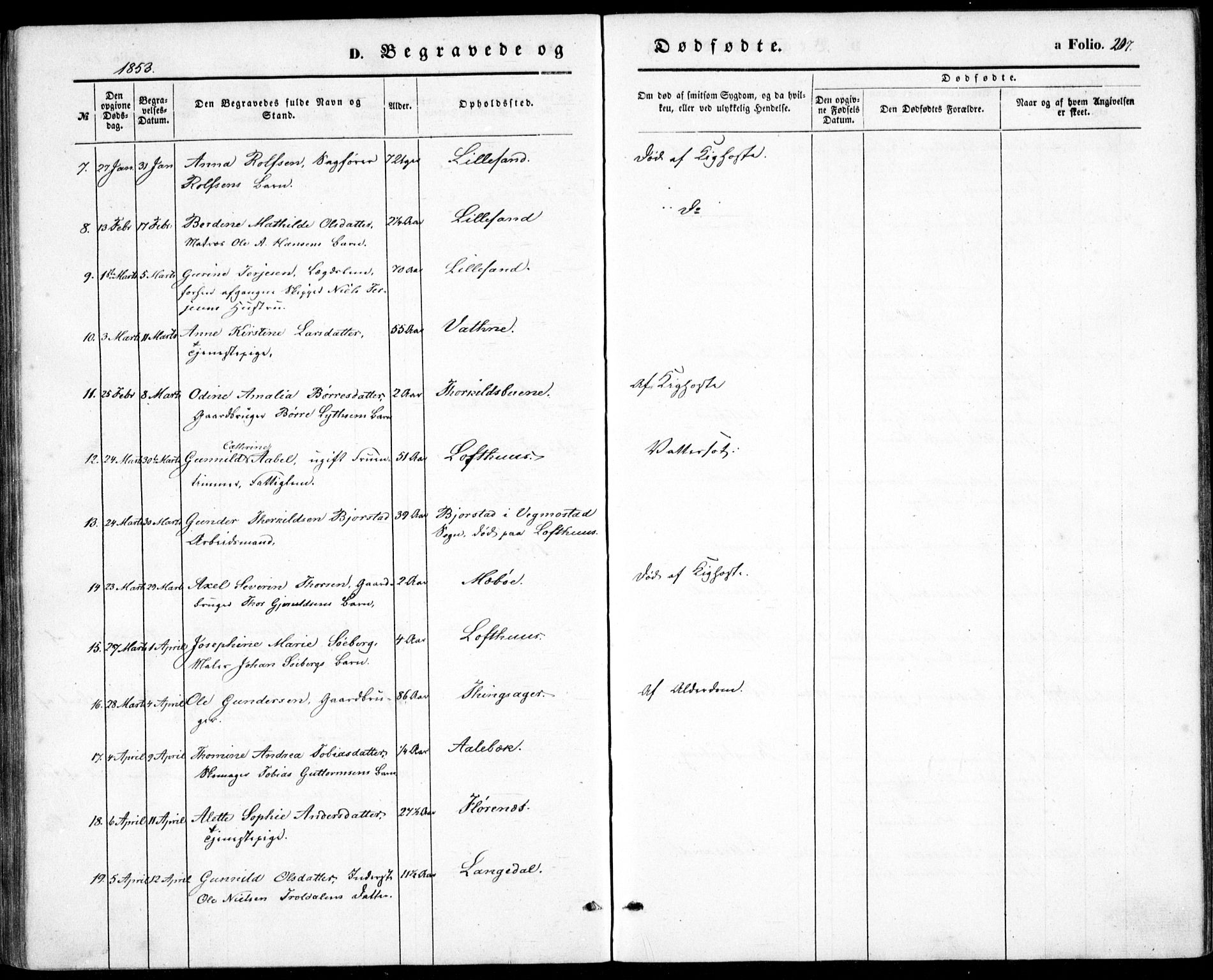 Vestre Moland sokneprestkontor, SAK/1111-0046/F/Fb/Fbb/L0003: Klokkerbok nr. B 3, 1851-1861, s. 207