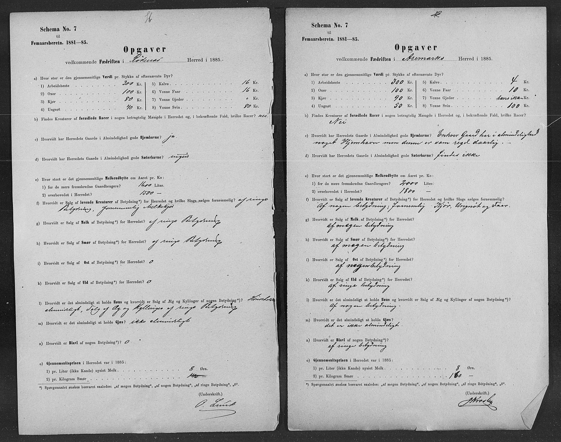 Statistisk sentralbyrå, Næringsøkonomiske emner, Generelt - Amtmennenes femårsberetninger, AV/RA-S-2233/F/Fa/L0060: --, 1881-1885, s. 5