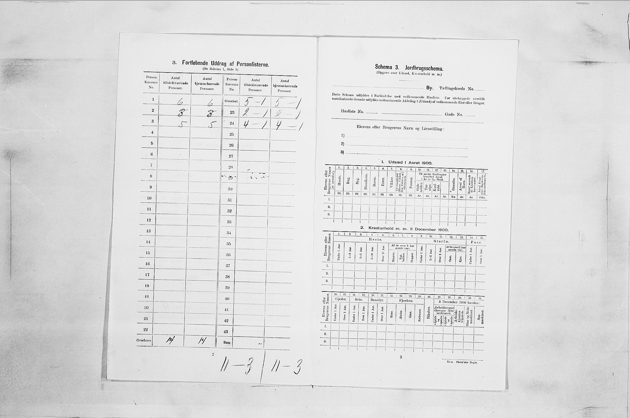 SAO, Folketelling 1900 for 0103 Fredrikstad kjøpstad, 1900