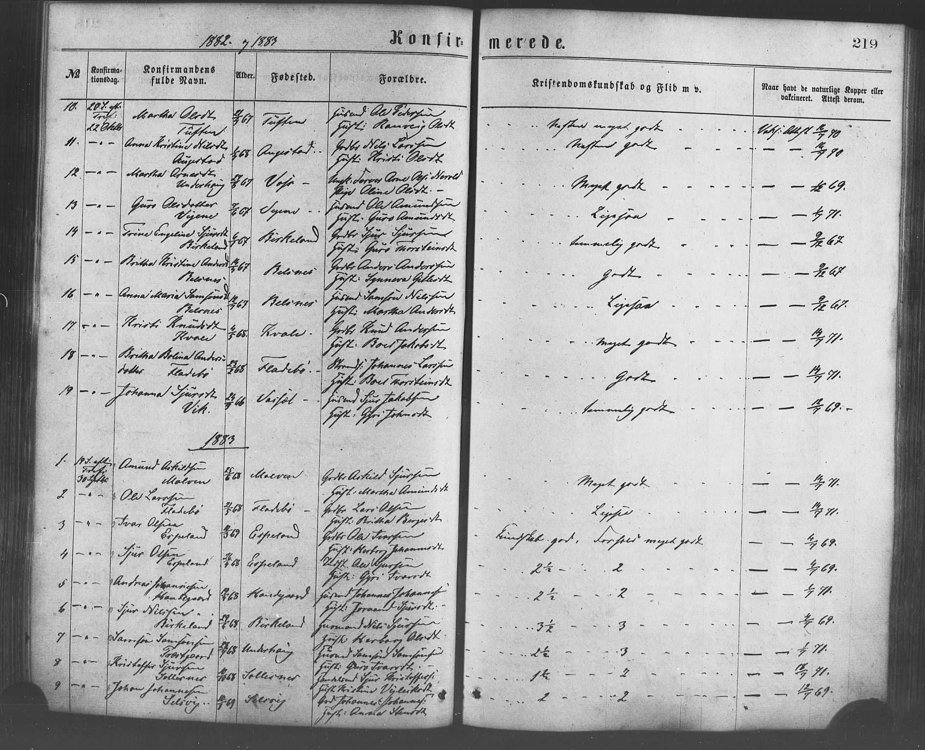 Strandebarm sokneprestembete, AV/SAB-A-78401/H/Haa: Ministerialbok nr. A 9, 1872-1886, s. 219